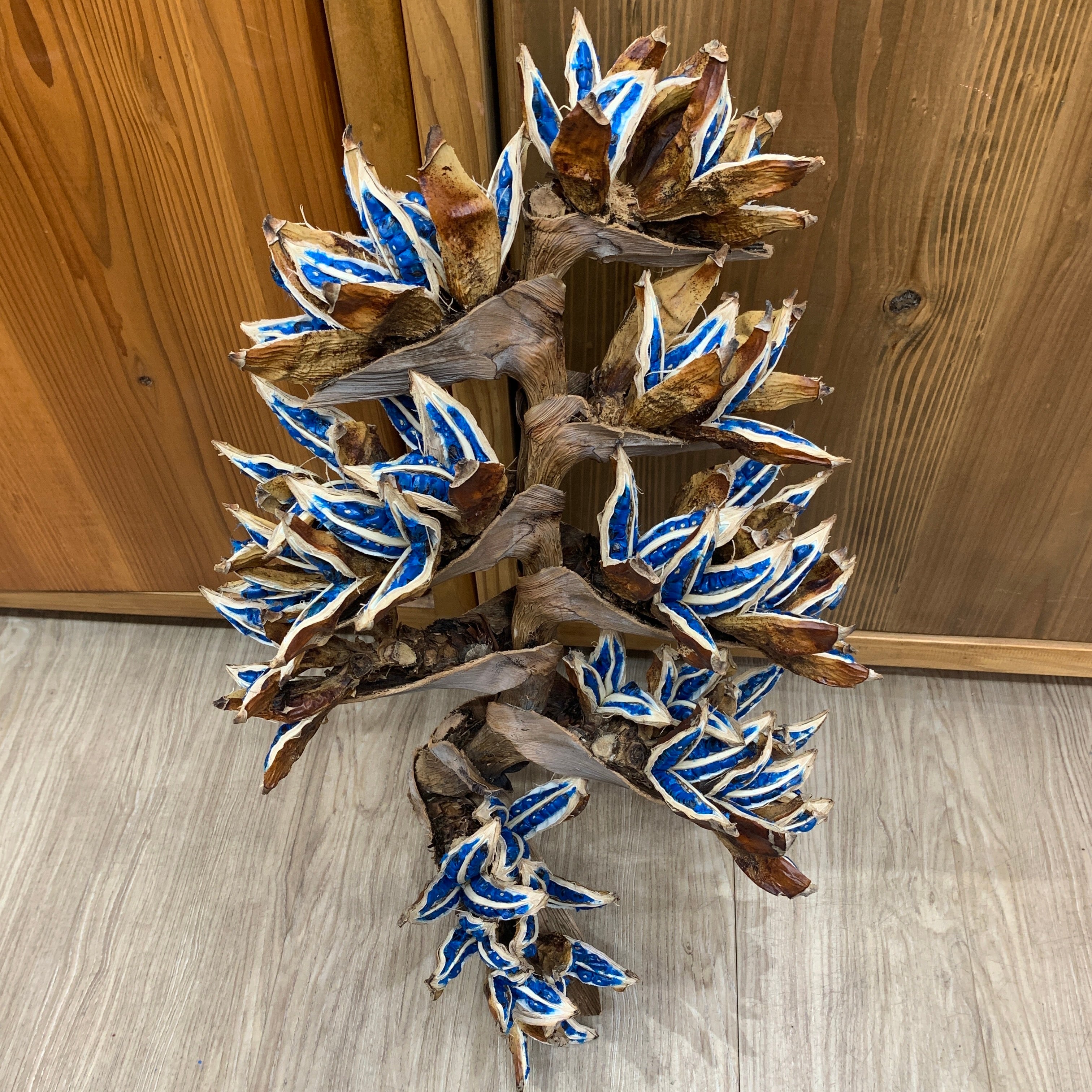 旅人の木タビビトノキ特大8節 | MADE in Nature 1shigaki