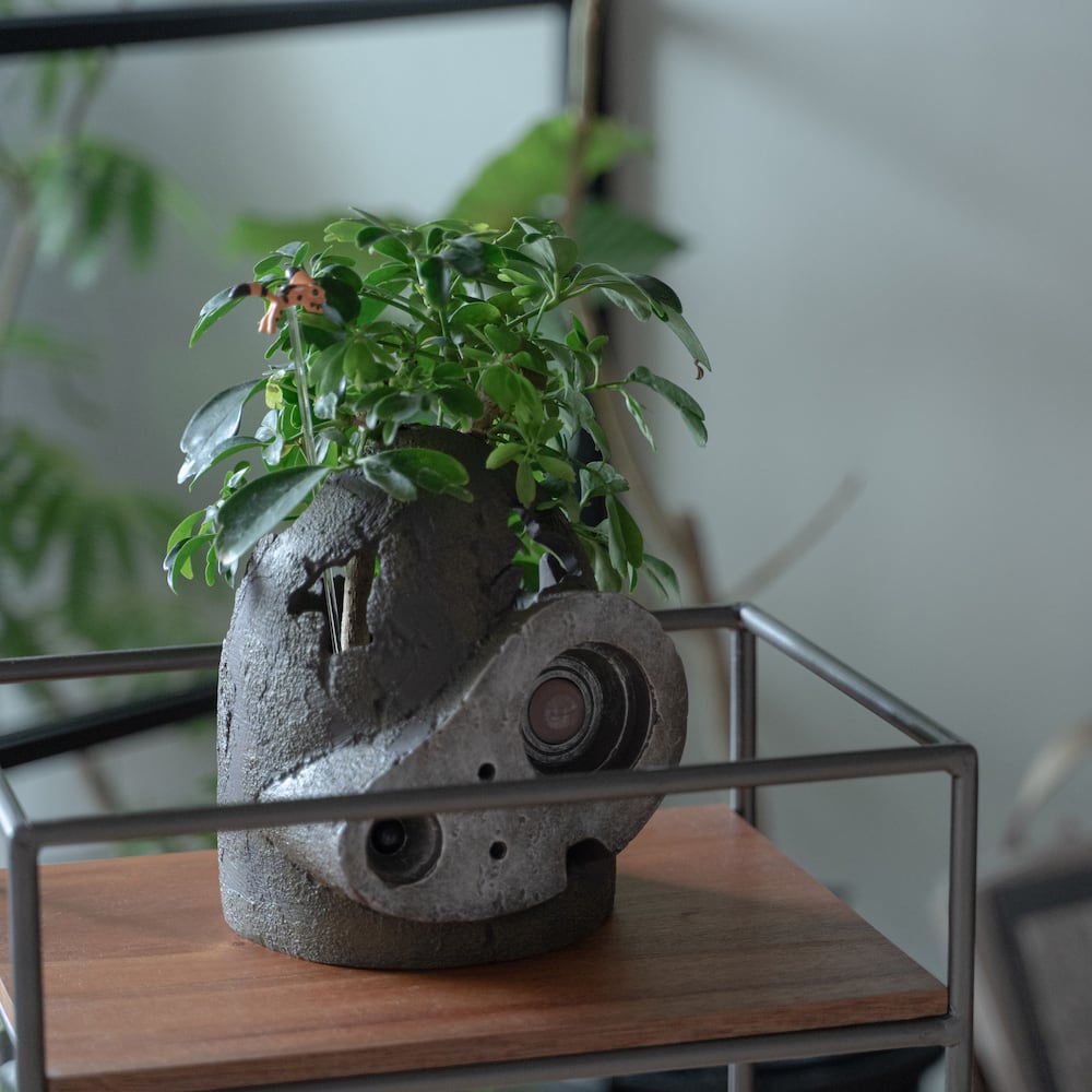 天空の城ラピュタ プランター / 小物入れ（ロボット兵の思い/9903