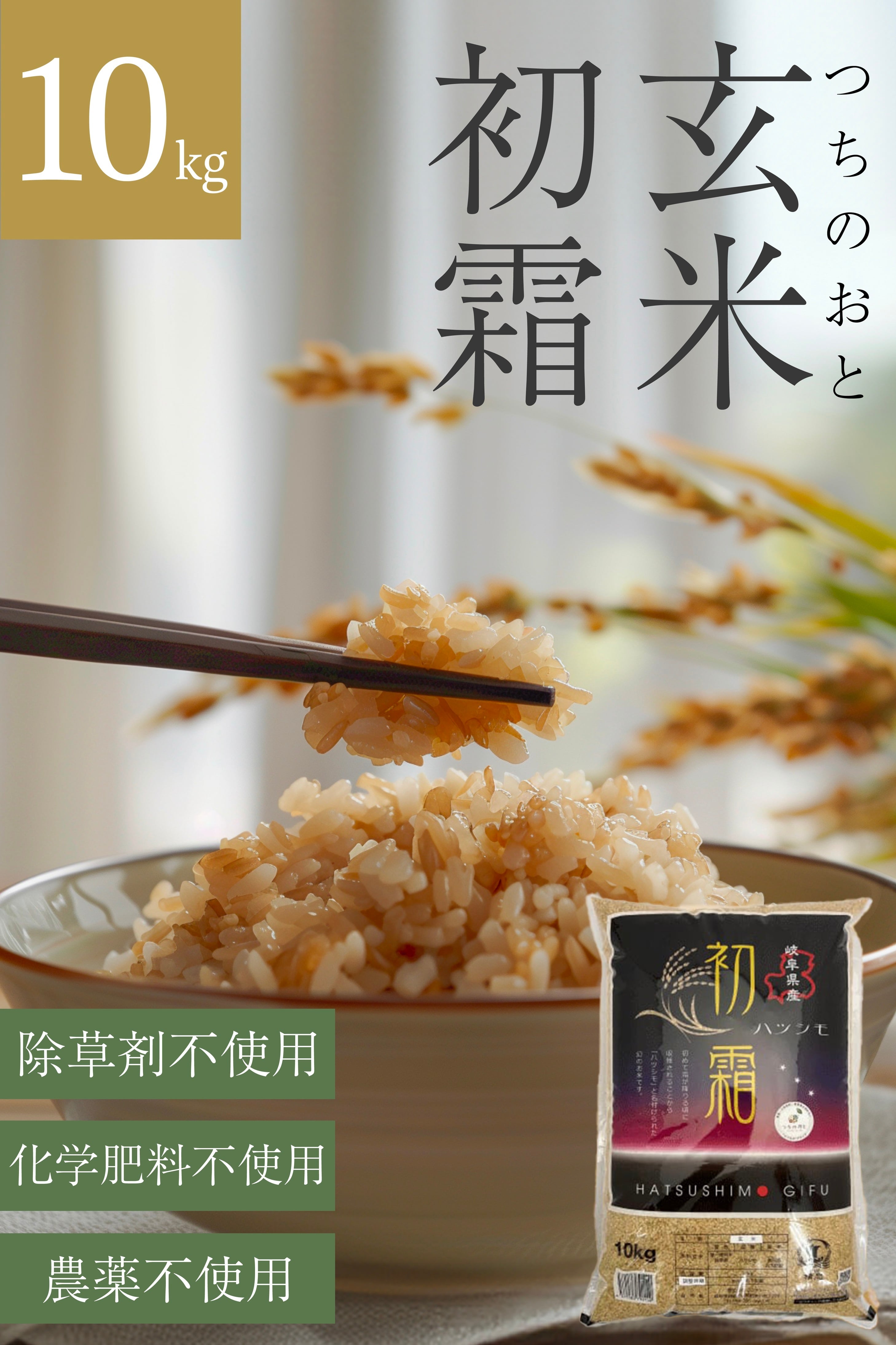 在庫残りわずか【綺麗な大粒揃い】農薬不使用 無化学肥料 ヒノヒカリ