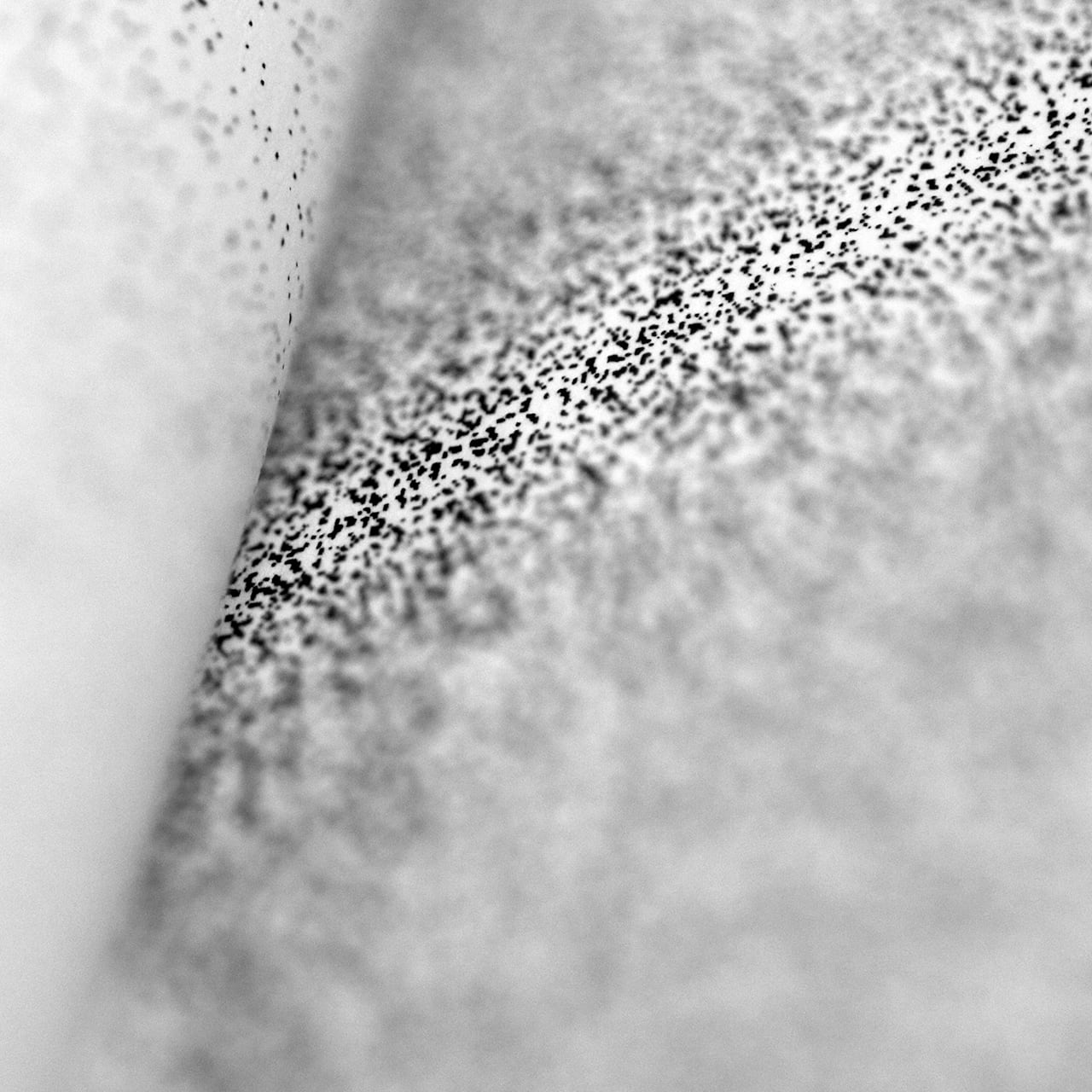 レア物】Daido Silk 白 ナンバーとサイン入り Daido Silk（サイン入り