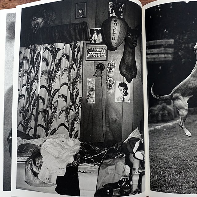 Bruce Weber(ブルース・ウェーバー) BRUCE WEBER | タイムカプセル