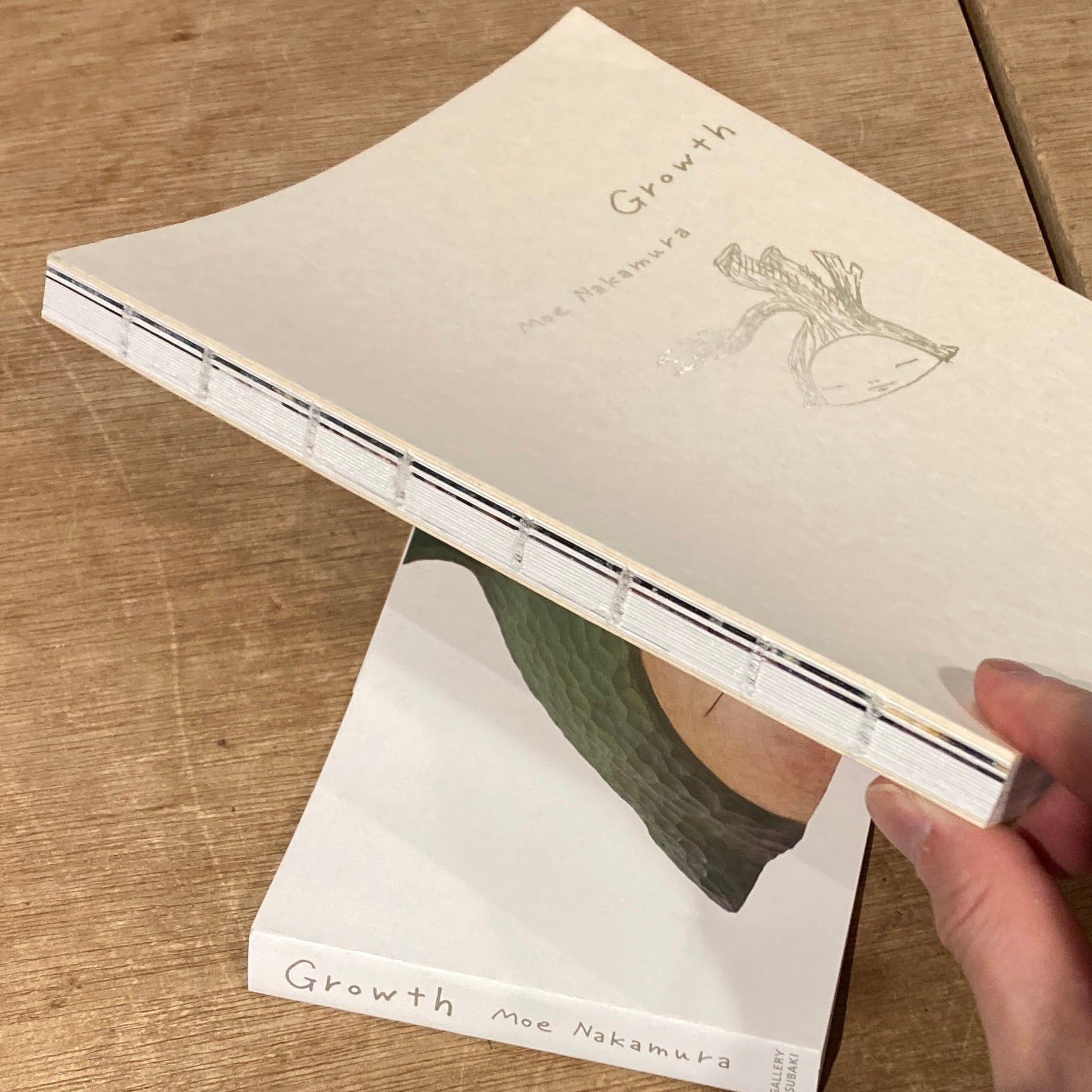 Growth: Moe Nakamura / 中村萌作品集2012-2020: 中村萌 | 百年