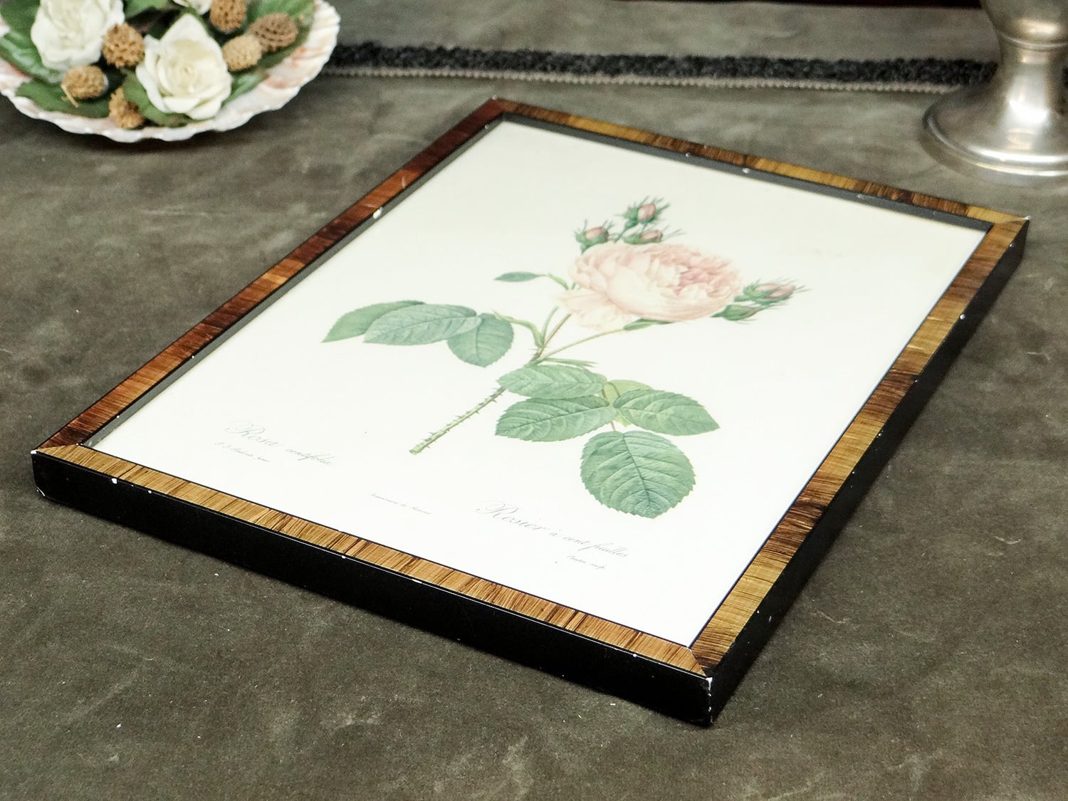 Vintage】ピエール＝ジョゼフ・ルドゥーテ 植物画 バラ Rosa