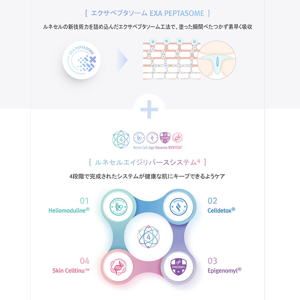 Rene-Cell】ビタミンC フェイスセラム 30ml | [ルネセル] Vitamin-C