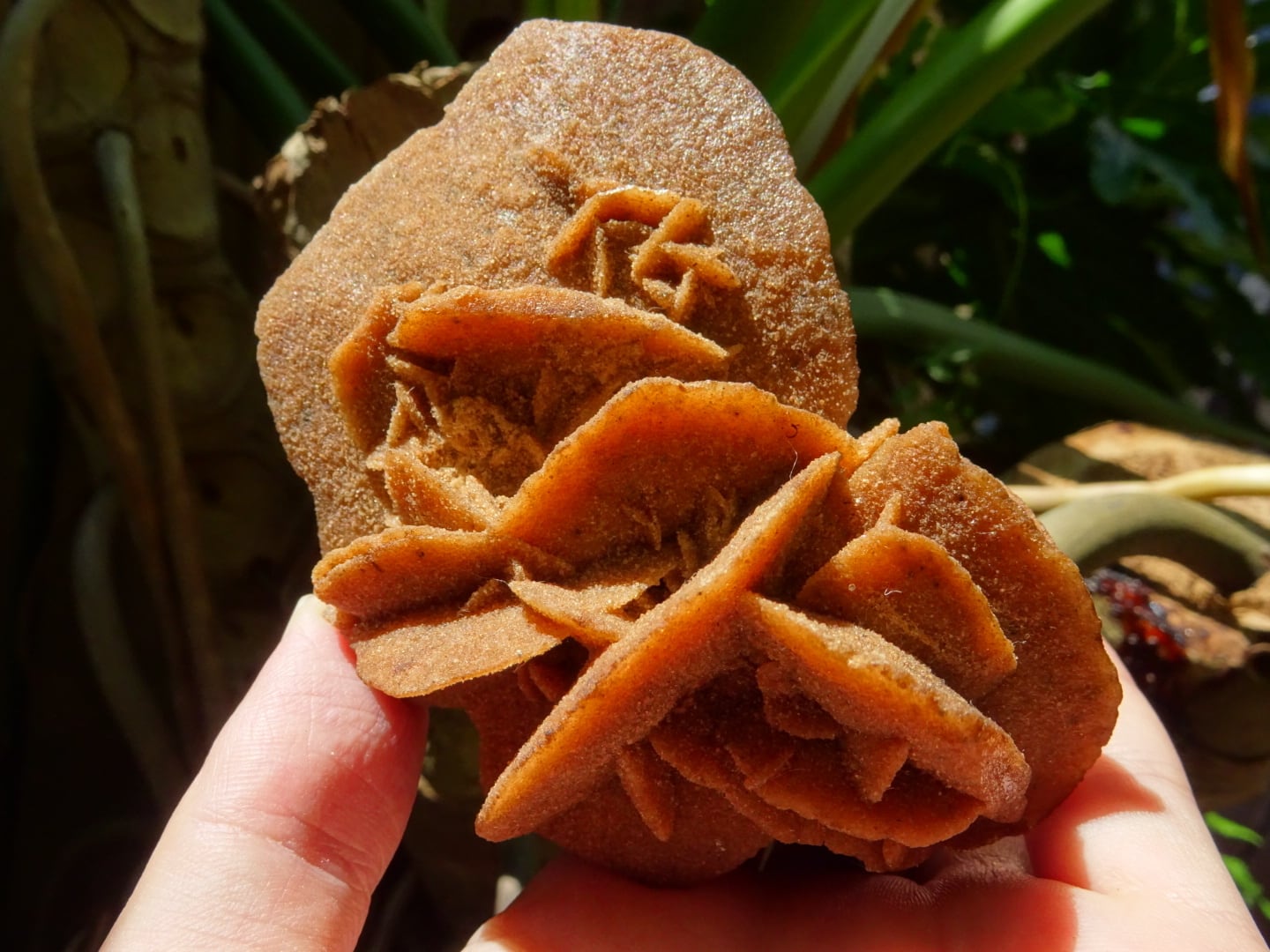 デザートローズ（砂漠のバラ） 】 | 虹石屋