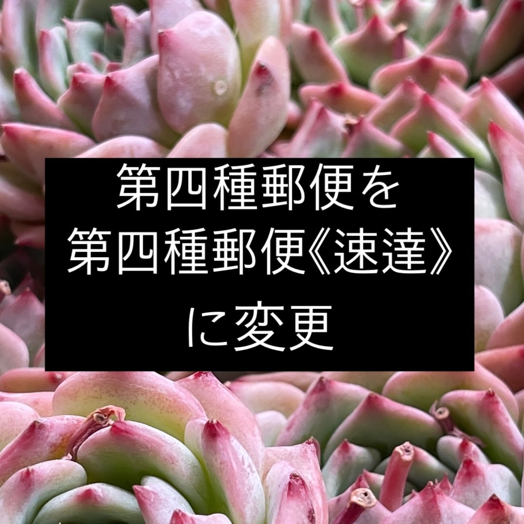 第四種郵便→速達に変更 | MIMI GARDEN