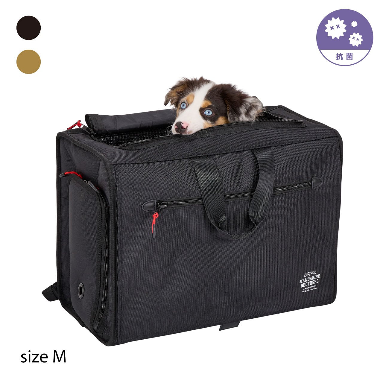 Renewal】BRIXTON CARRY BACKPACK −WIDE−（M）ブリクストンキャリー