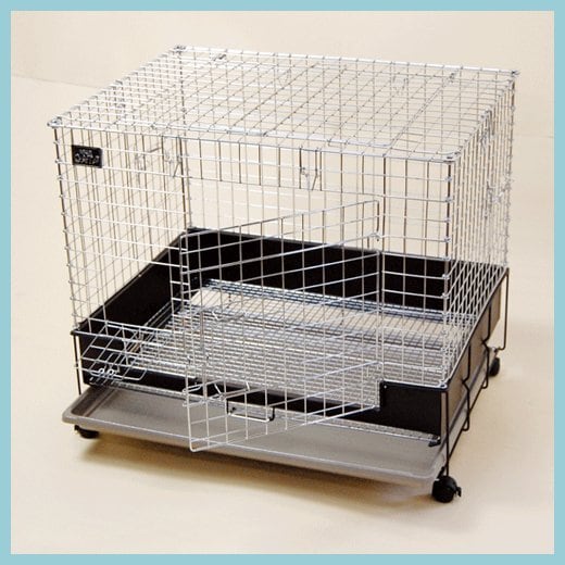 d162101dd27f4bbe2161438ff2482c