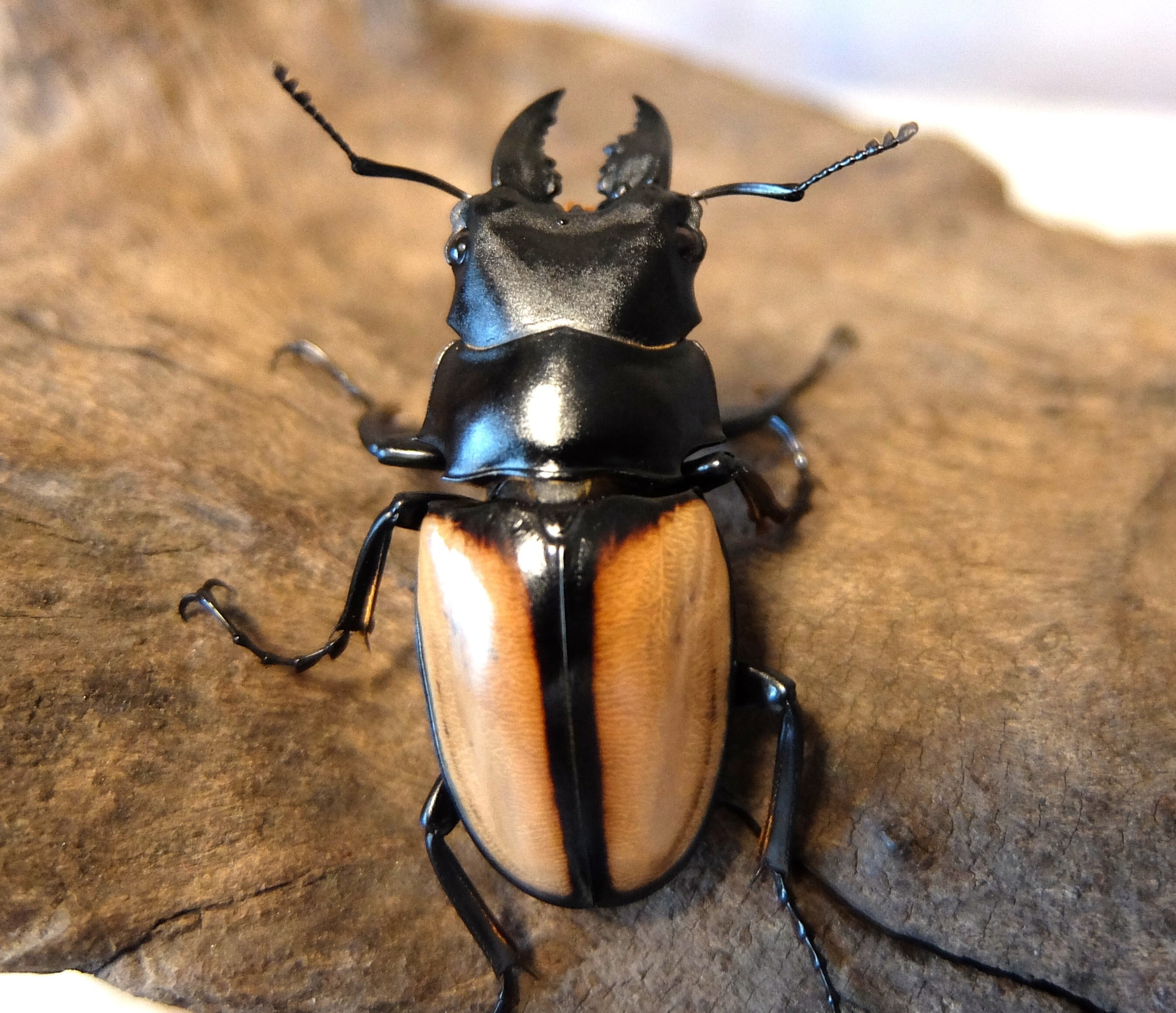 d202974b3b47b688be3eef94649e12