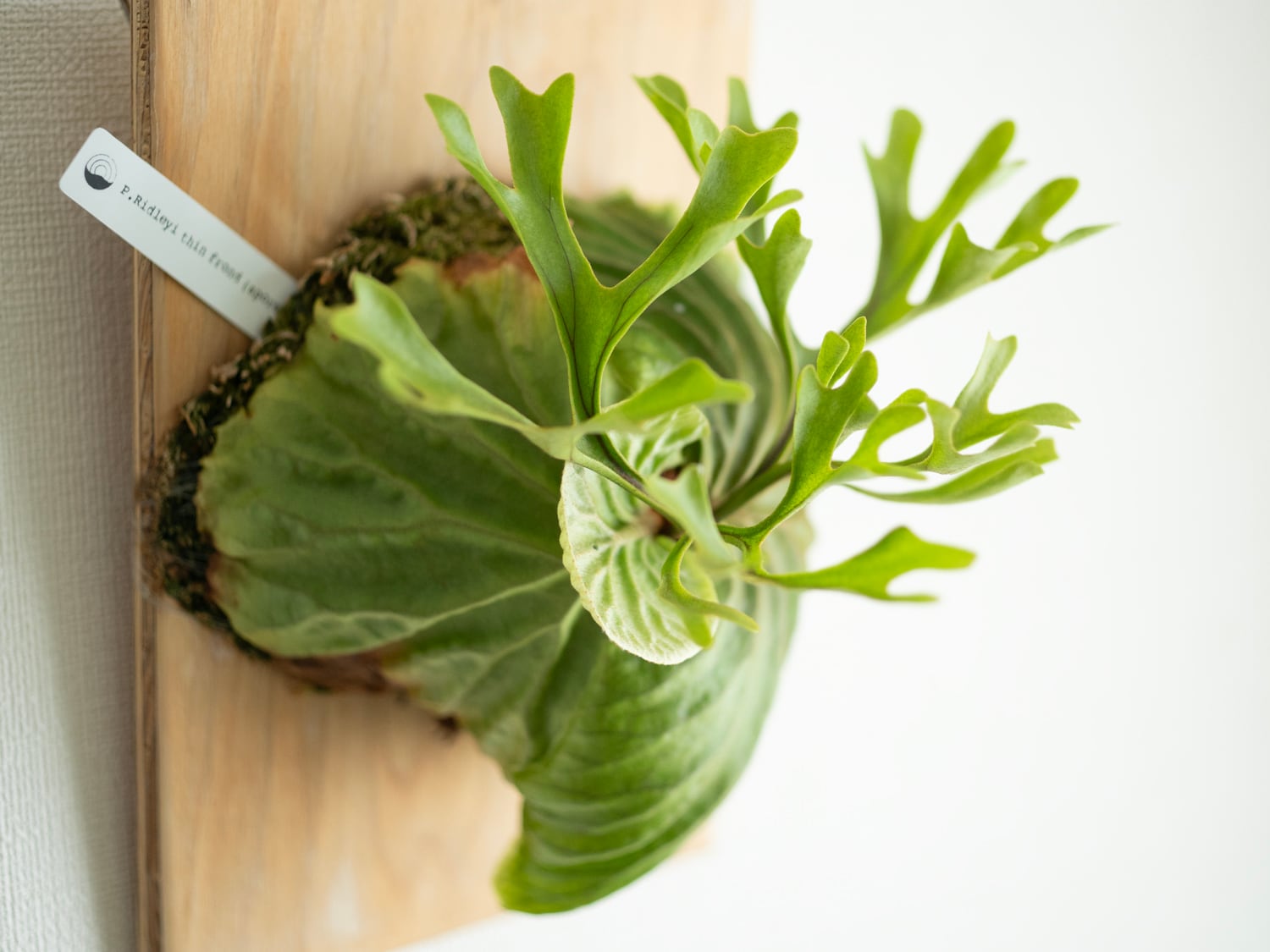 d2c48c7aeb78c3301803514e1197de