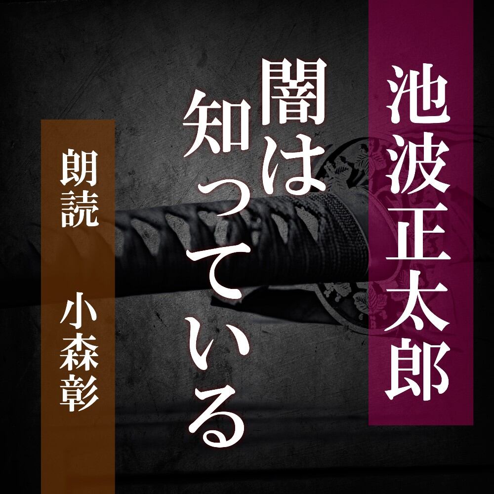 池波 池波正太郎など歴史・時代小説中心｜古本14冊セットまとめ売り／読書