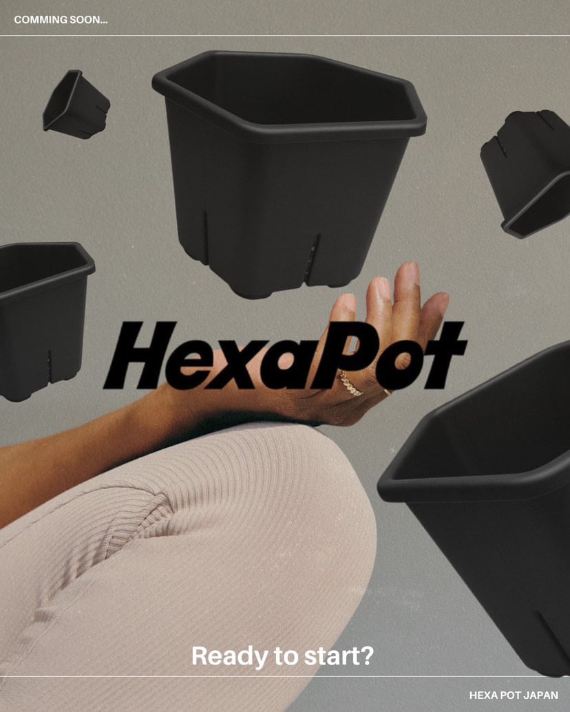 HexaPot 〝ヘキサポット〟5号サイズ 30ポットセット | Pay ID