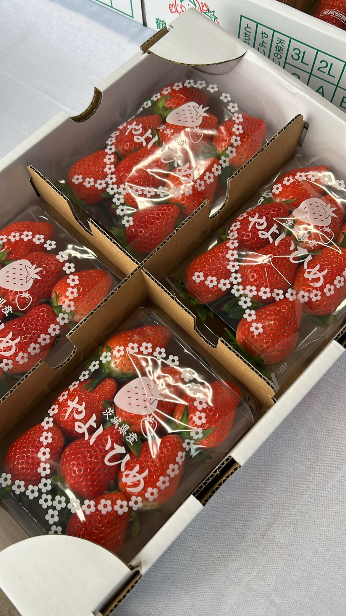 朝どり】茨城県産やよいひめ | 3L 260g | 4パック1箱 | 茨城県産朝採れ