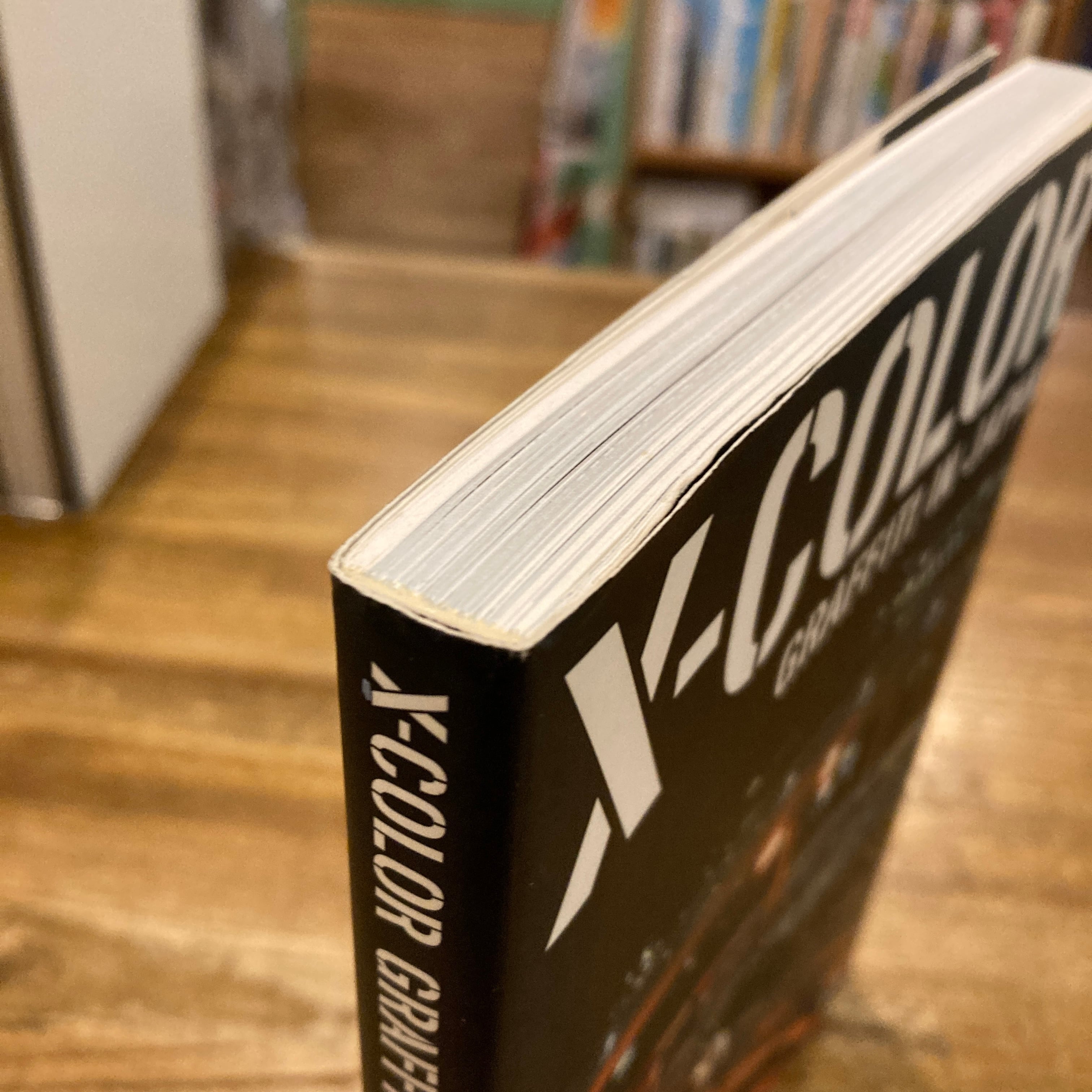 X-COLOR GRAFFITI IN JAPAN | 百年