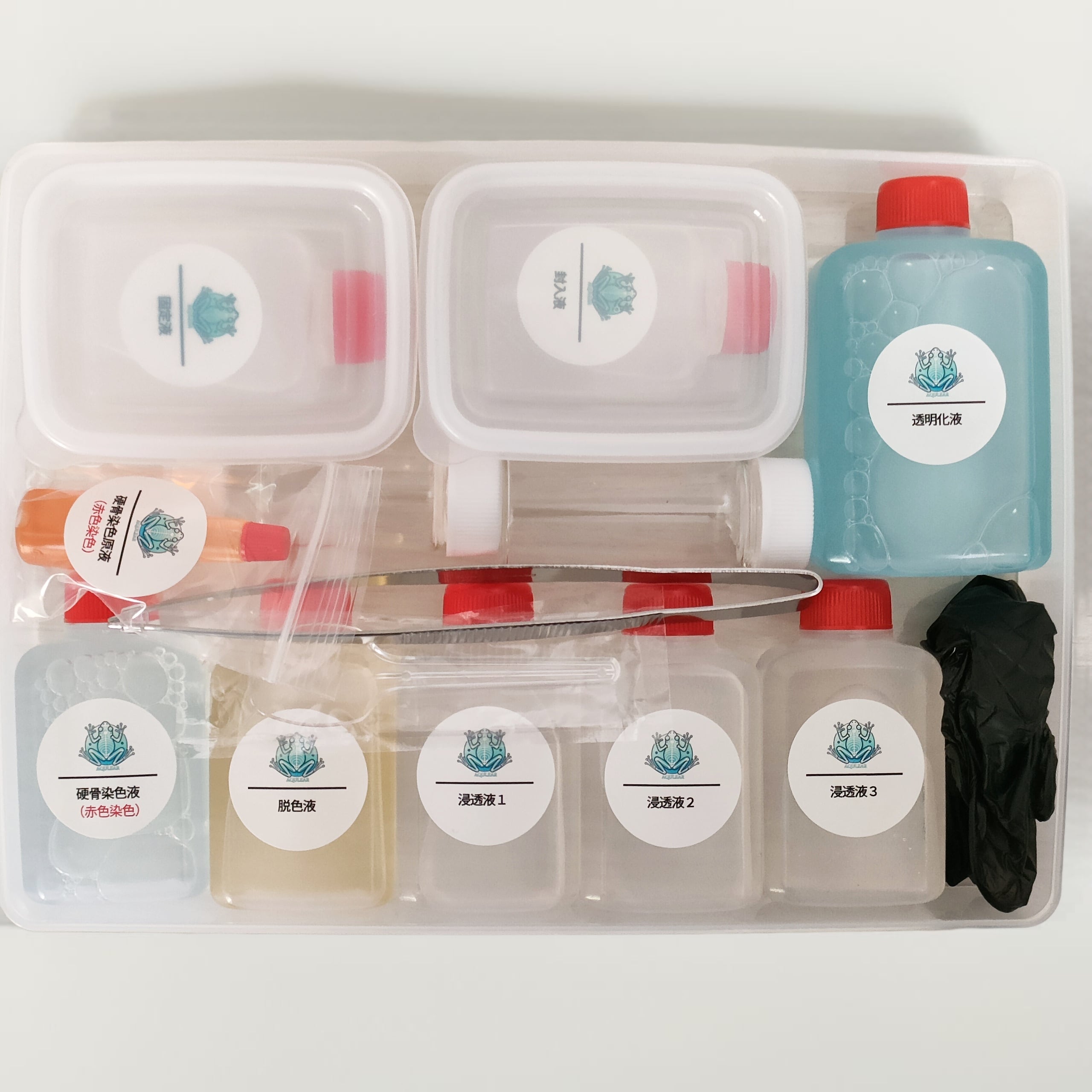 透明標本作製キット】(上級)全20点 | Pay ID