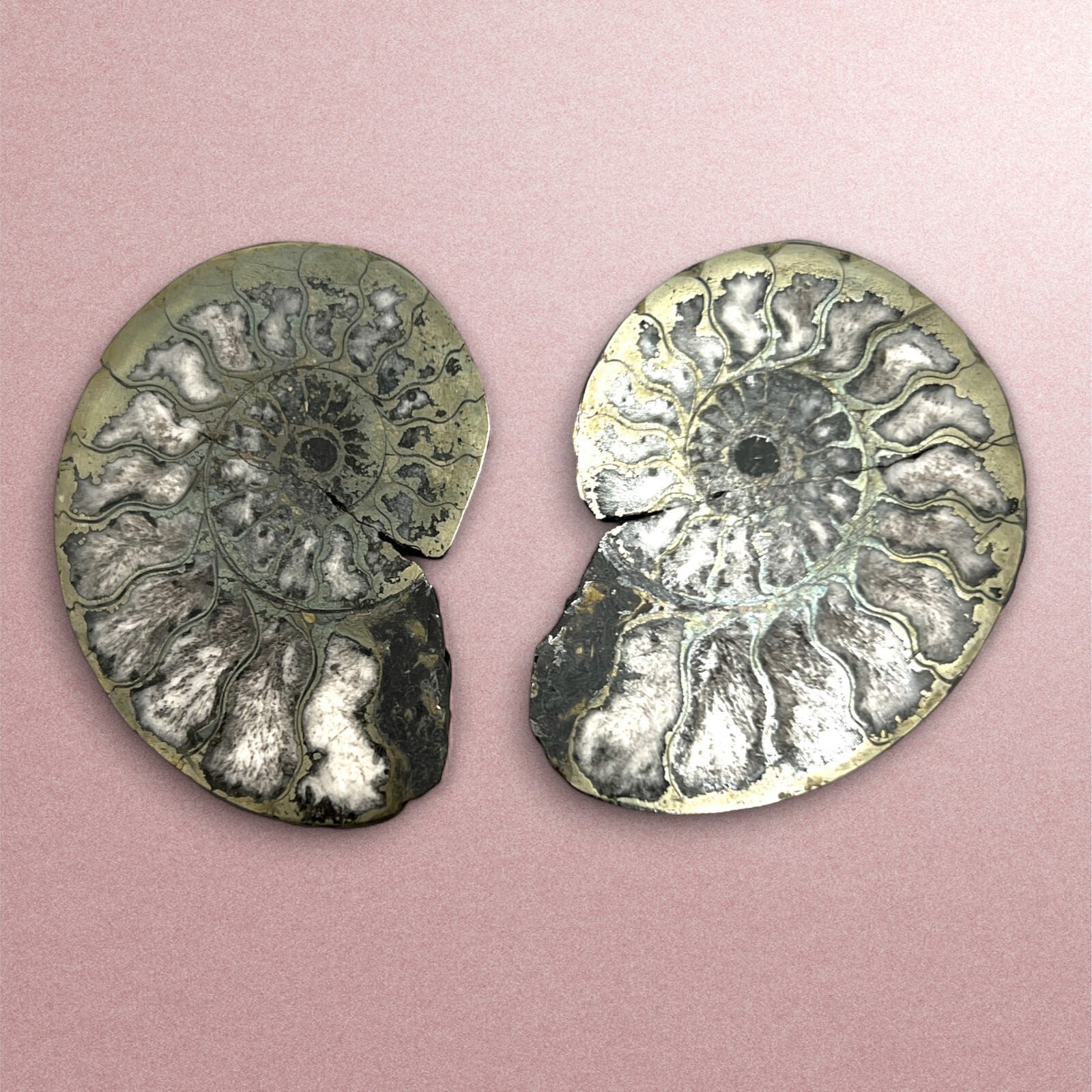 d6a5fa91f2cf1060d15e5038eb3286