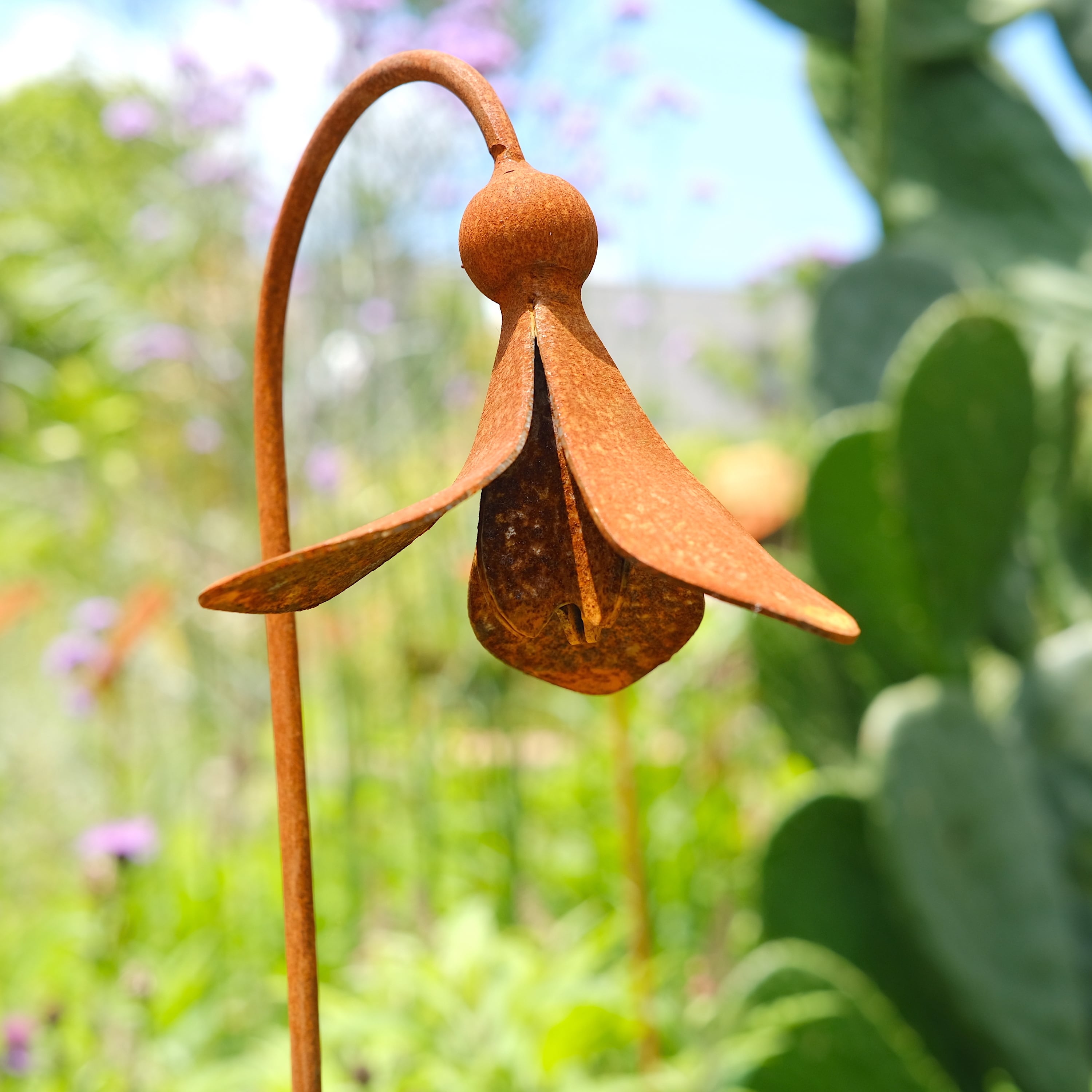 d6ab6a54fe034251f71e250448ca5d