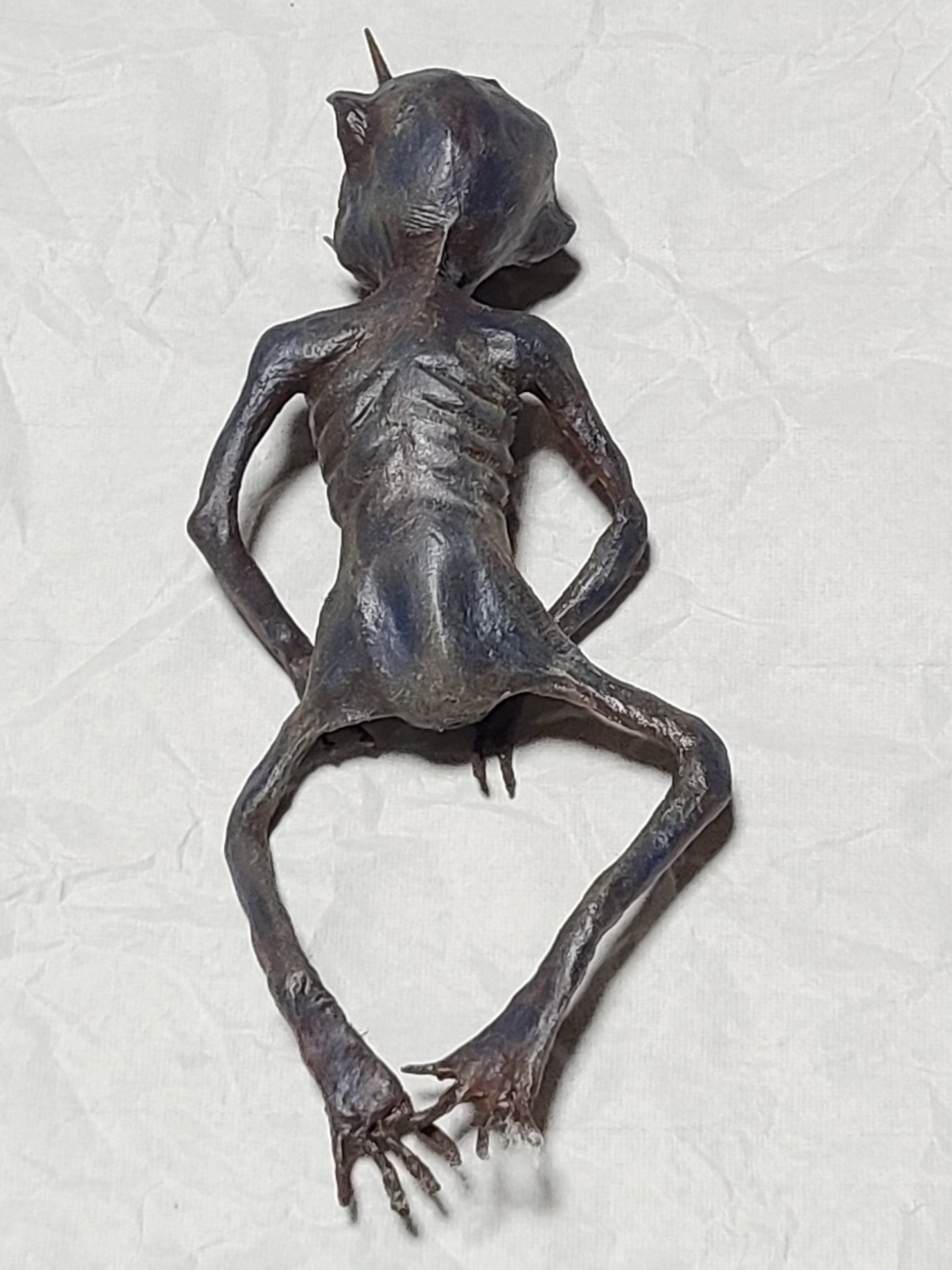 妖怪 青餓鬼 木乃伊(ミイラ) 二本角 青小鬼 怪奇標本 ニ－85 | Pay ID