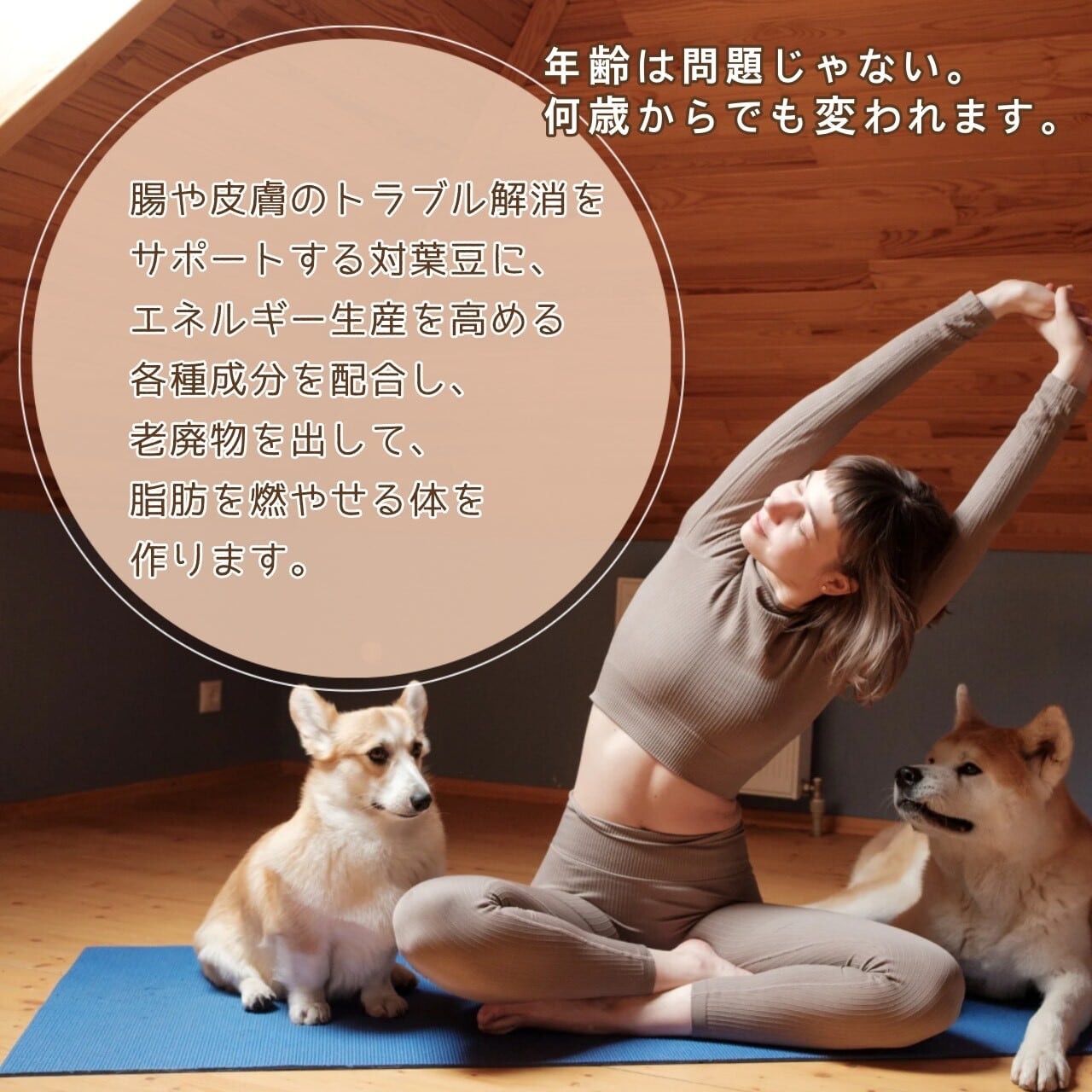 ウルトラびっくりスタイル | 銀座まるかん専門店 オーロラ