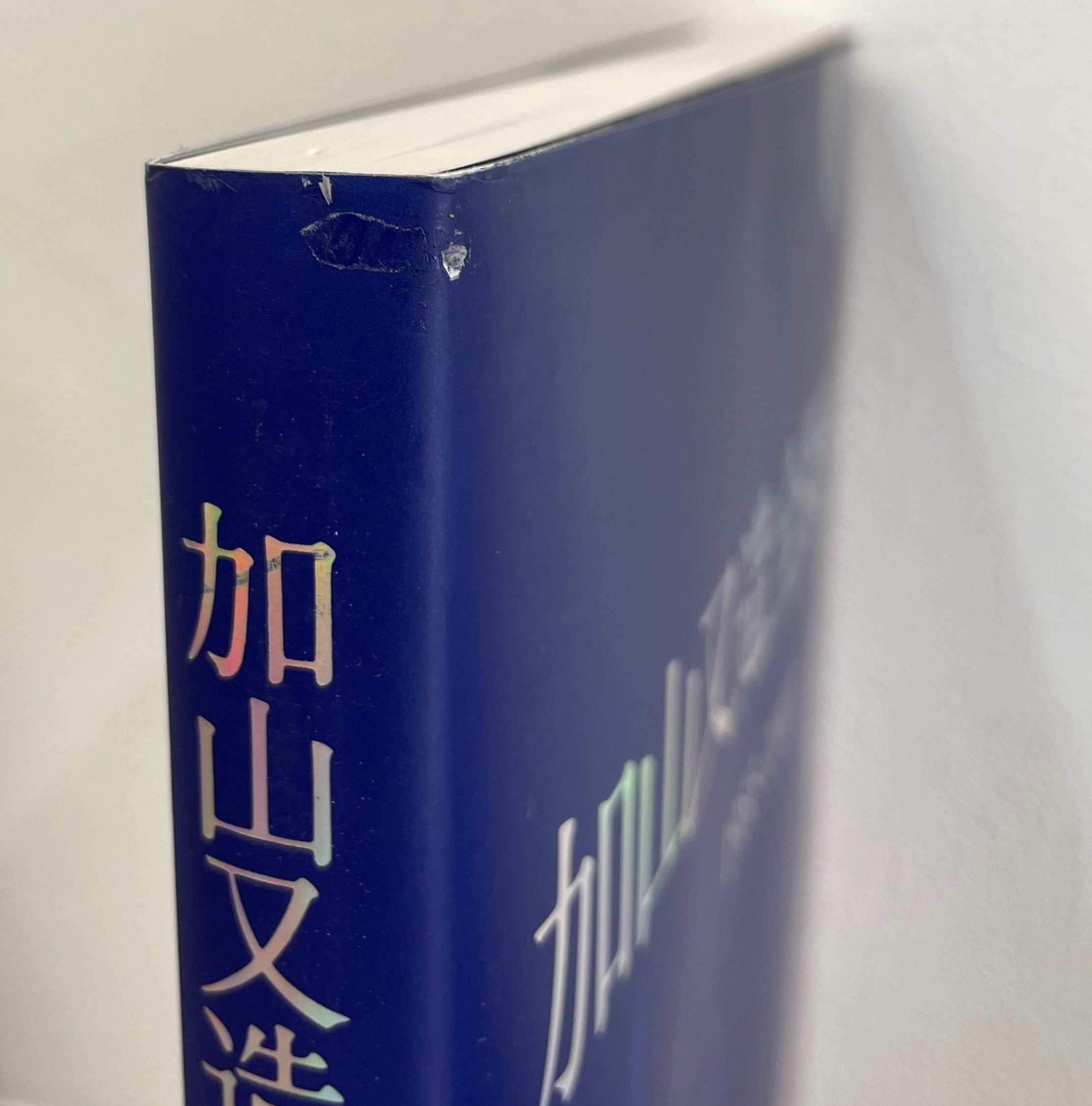 加山又造全版画集 1955-2003 | ART BASE 山田書店