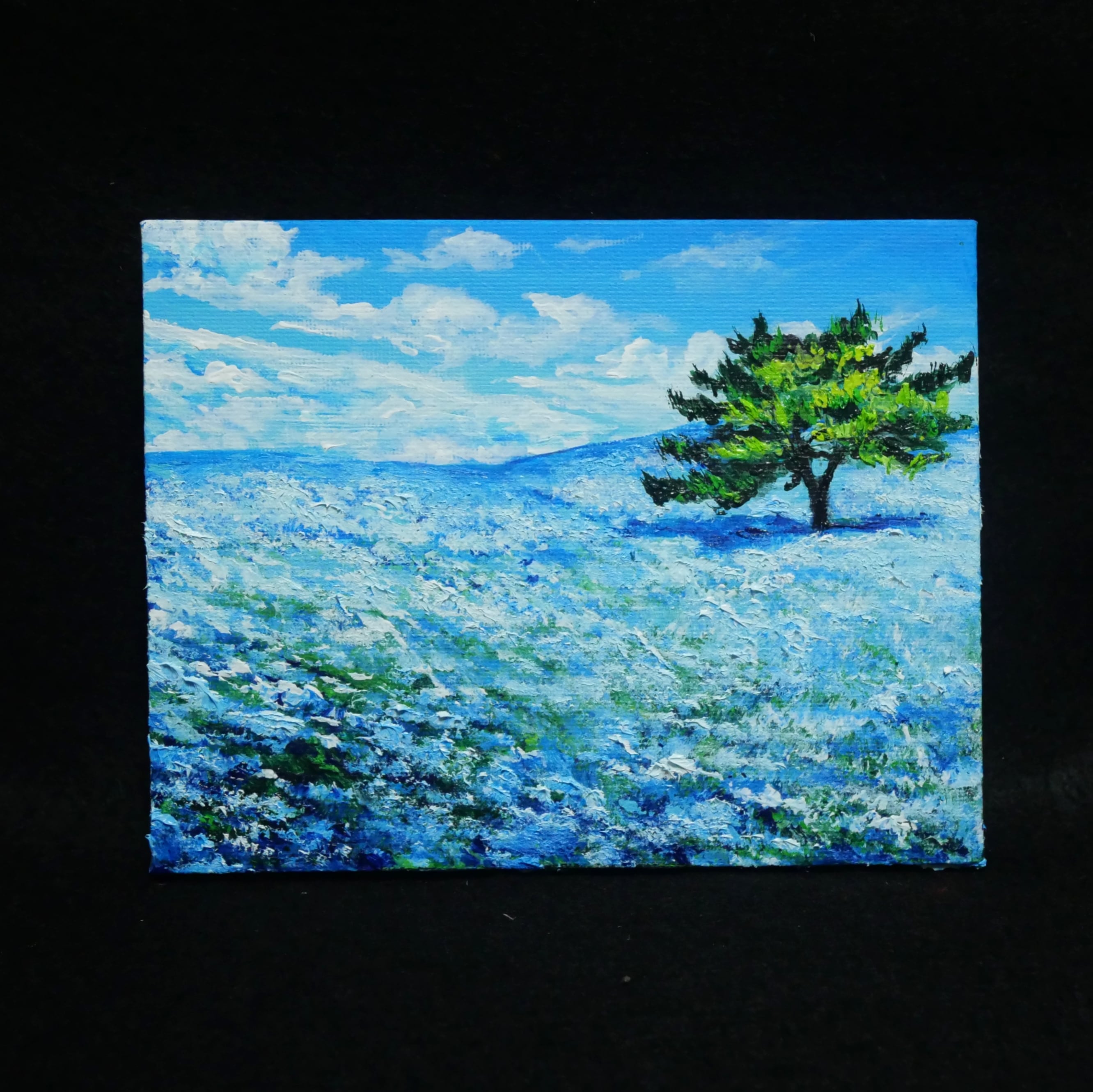 油絵 油彩 油彩画 絵 絵画 F0号【ネモフィラの丘】 | HIROSHI1990