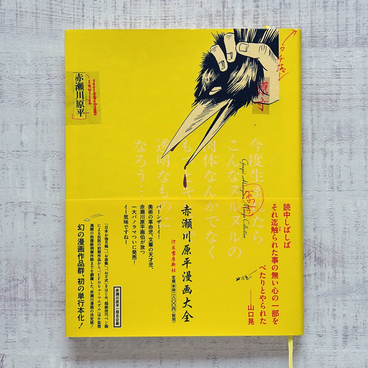 赤瀬川原平漫画大全 | タイムカプセル
