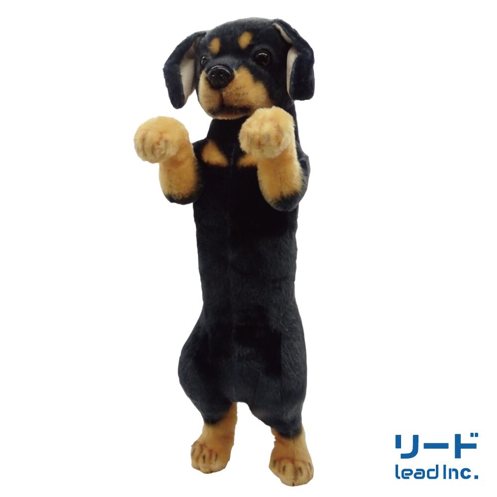 たっちぃZooわんこ ミニチュアダックスフンド | リードのおみせ Catail