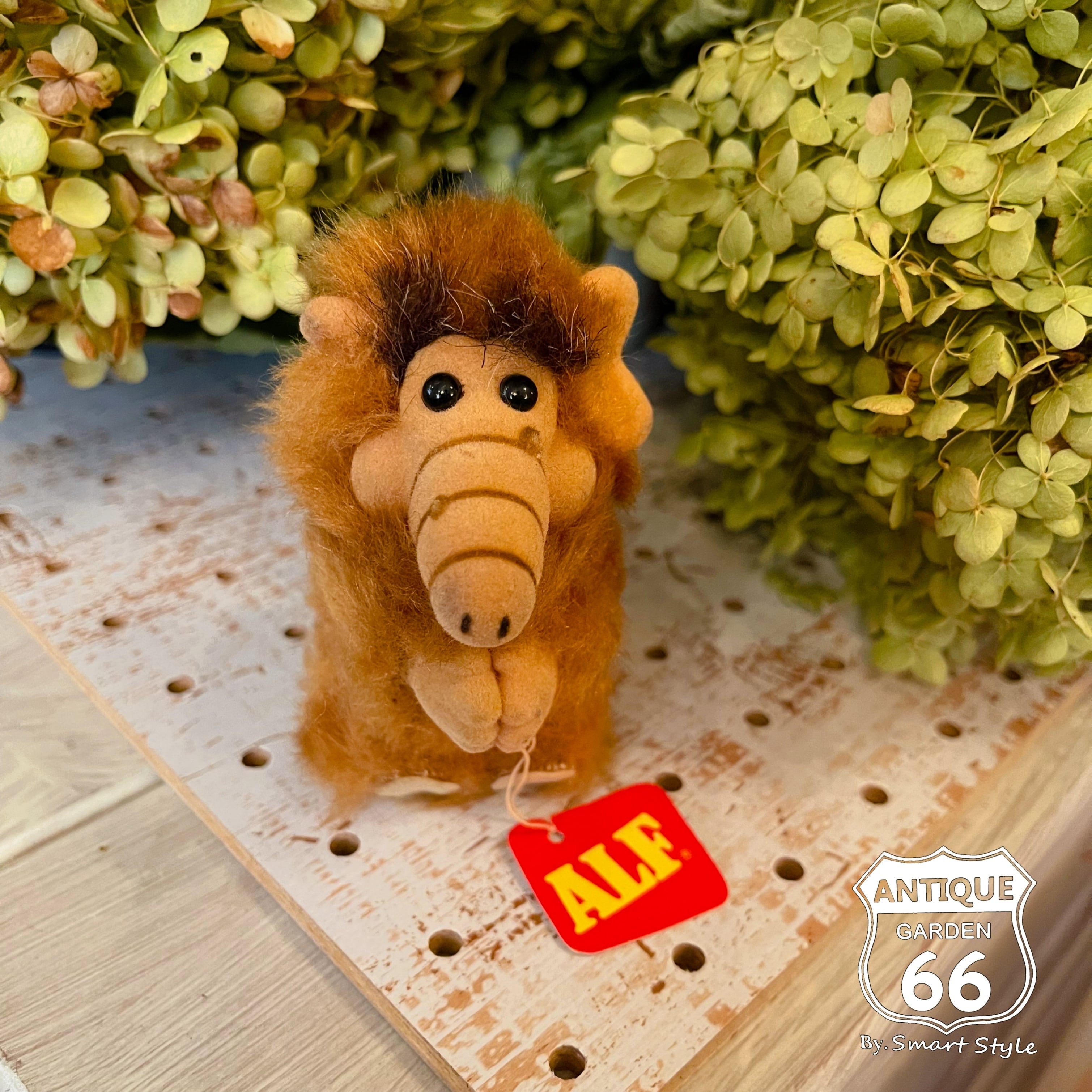 d9b0c4669984a9a38b887a5ef45688