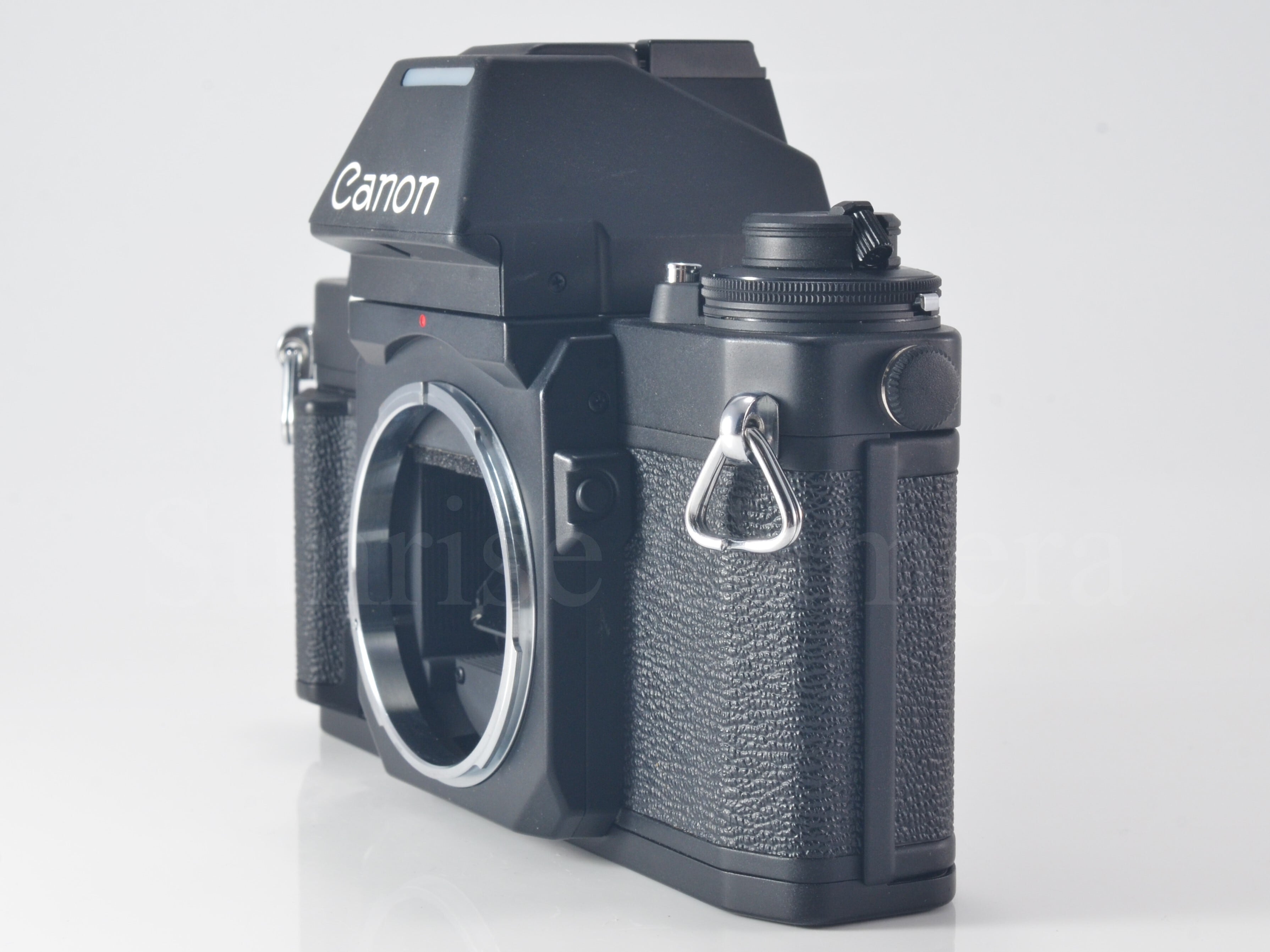 Canon NEW F-1 ボディ AEファインダー キヤノン (23486) | サンライズ