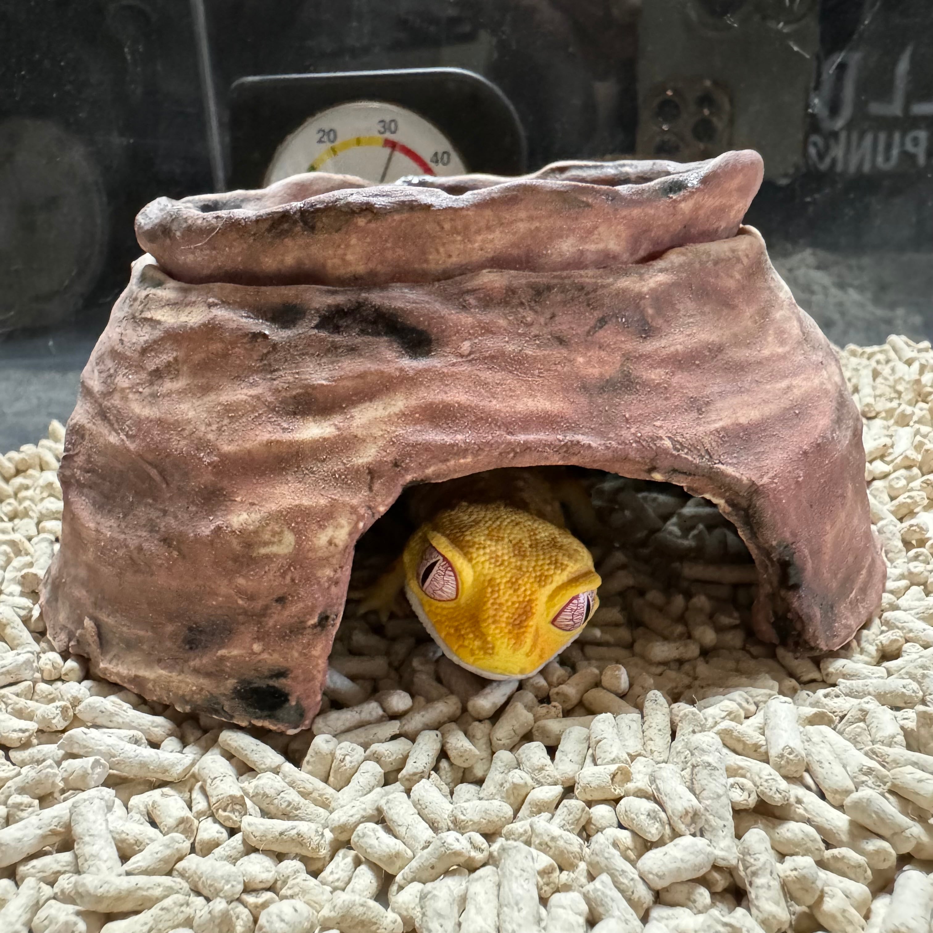 爬虫類用ウェットシェルター Mサイズ 水入れが取り外せる | ガラダ堂