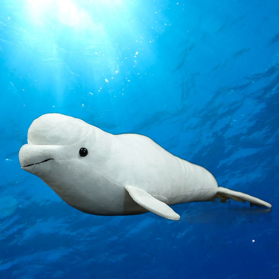 ☆シロイルカ☆ ぬいぐるみ・ | ぬいぐるみ専門店 くろにゃん