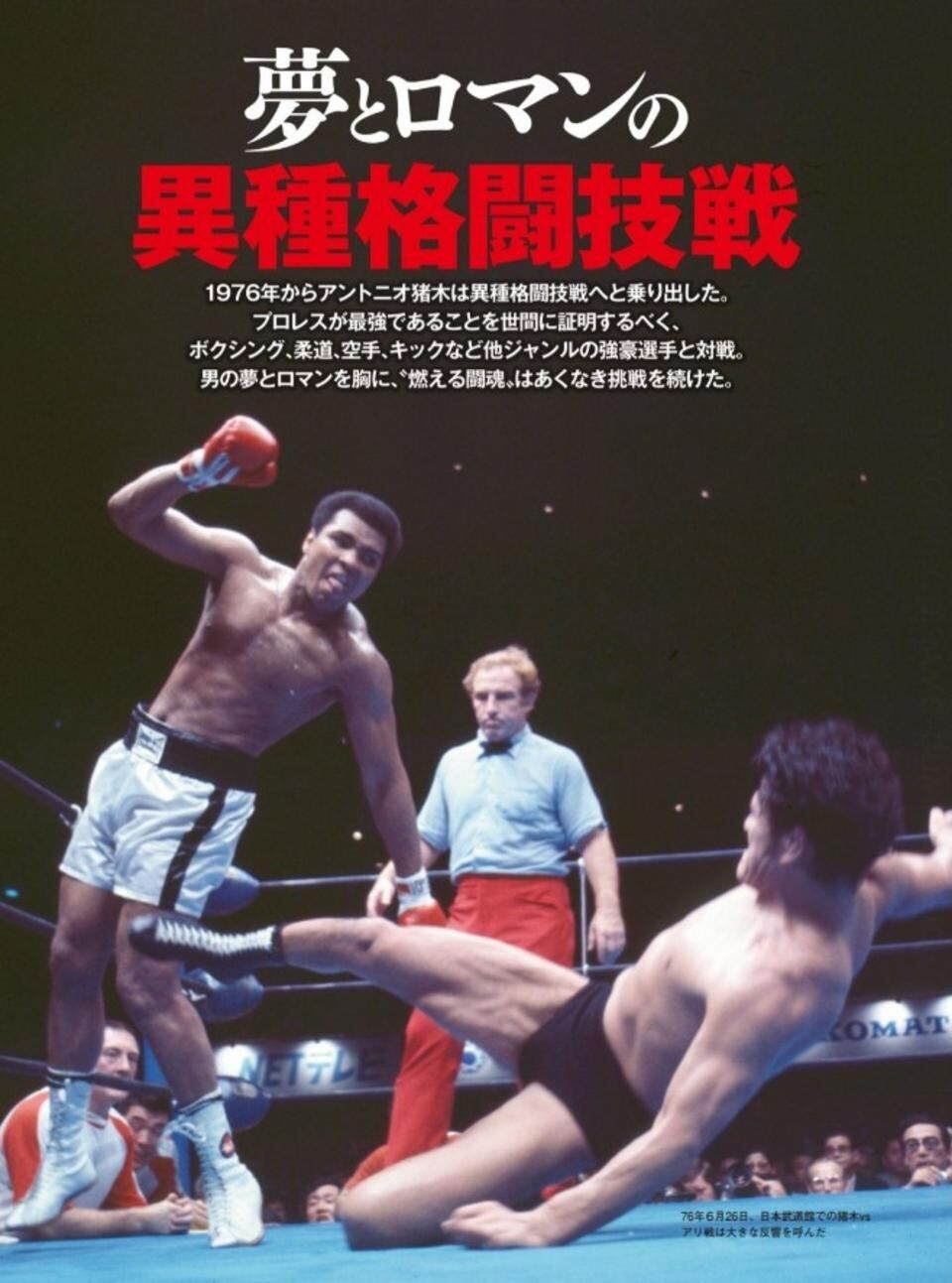 新日本プロレス旗揚げ50周年記念シリーズ③70年代編 不滅の闘魂伝説