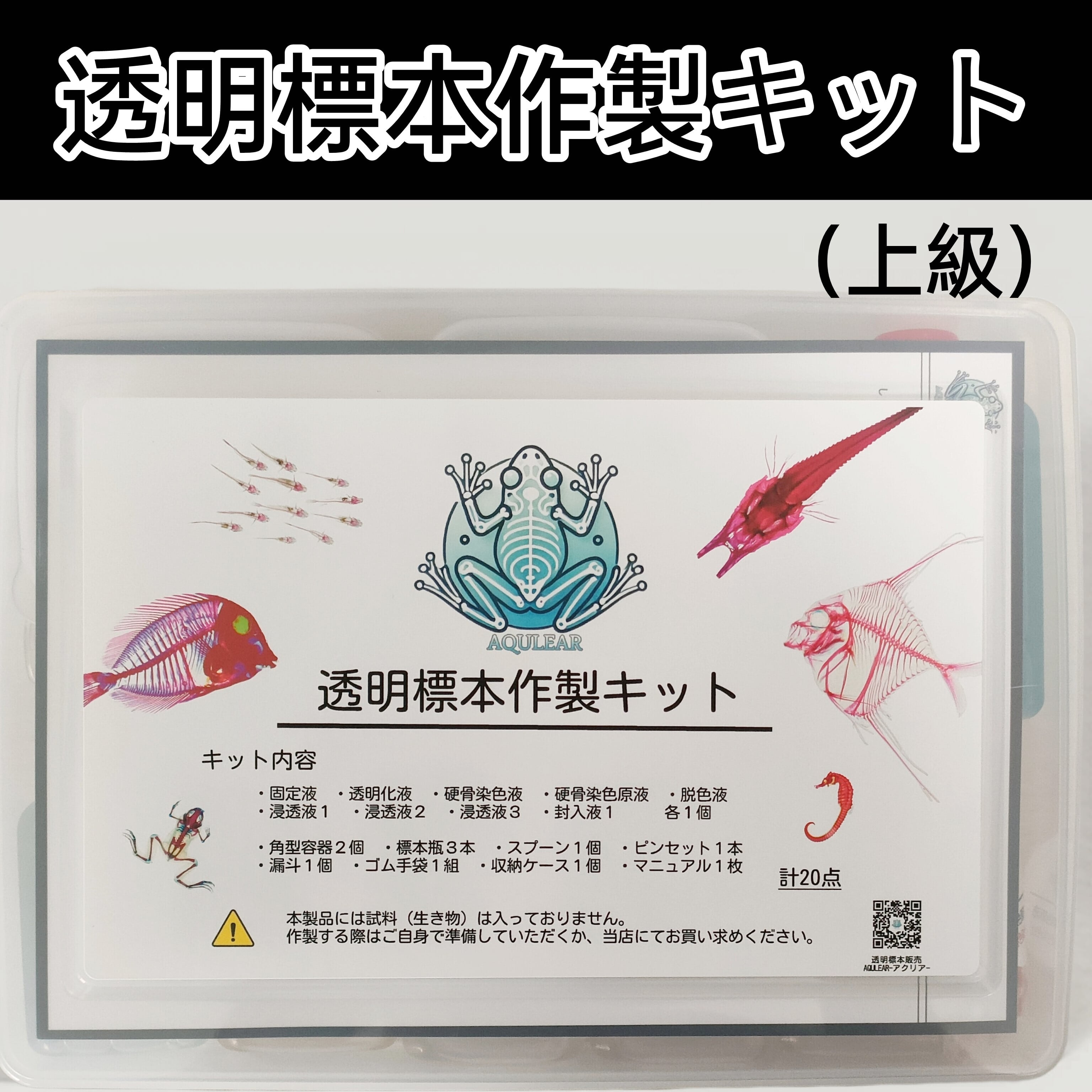 透明標本作製キット】(上級)全20点 | Pay ID