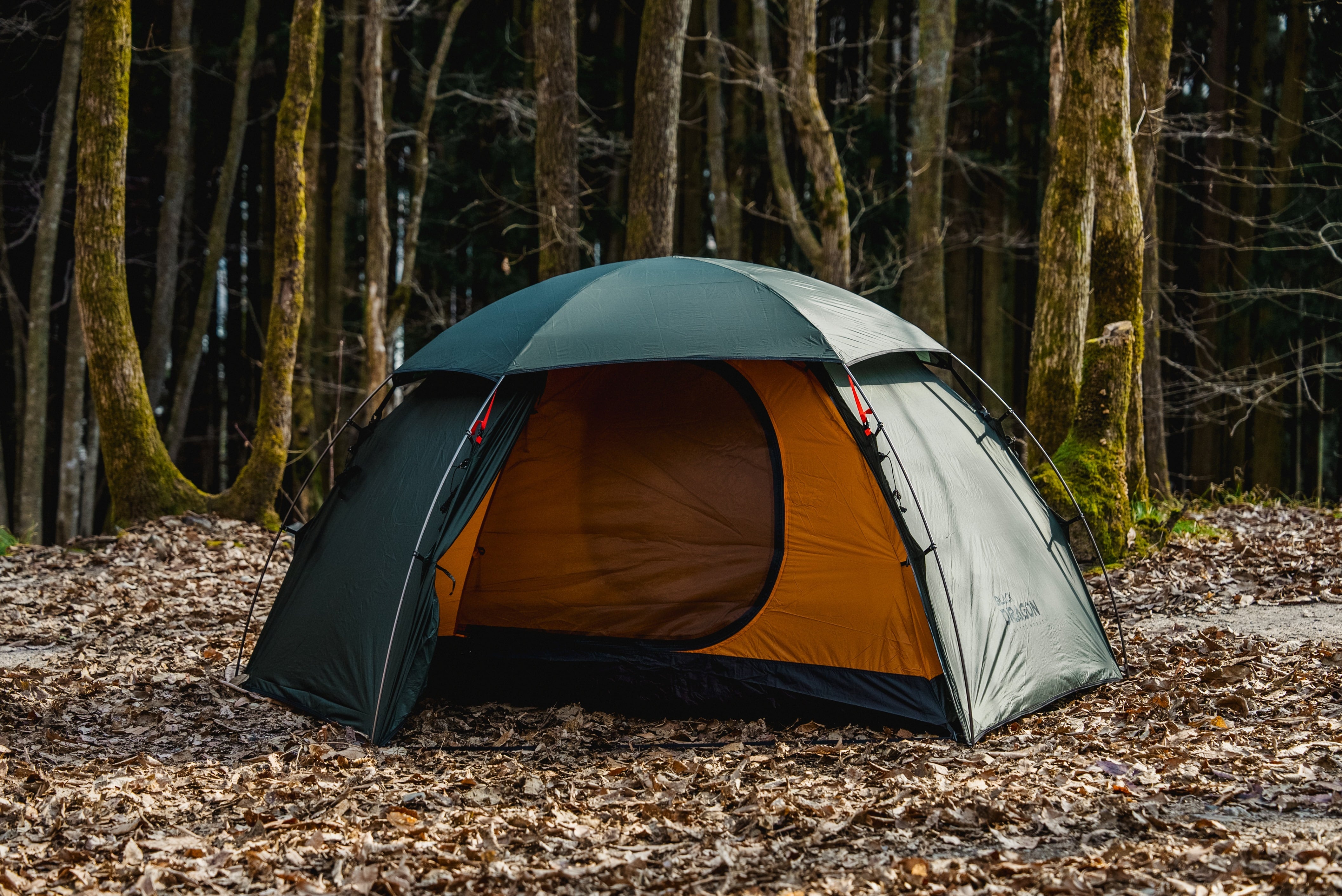 Black Dragon Starry Moon 星月 | Black Dragon Japan