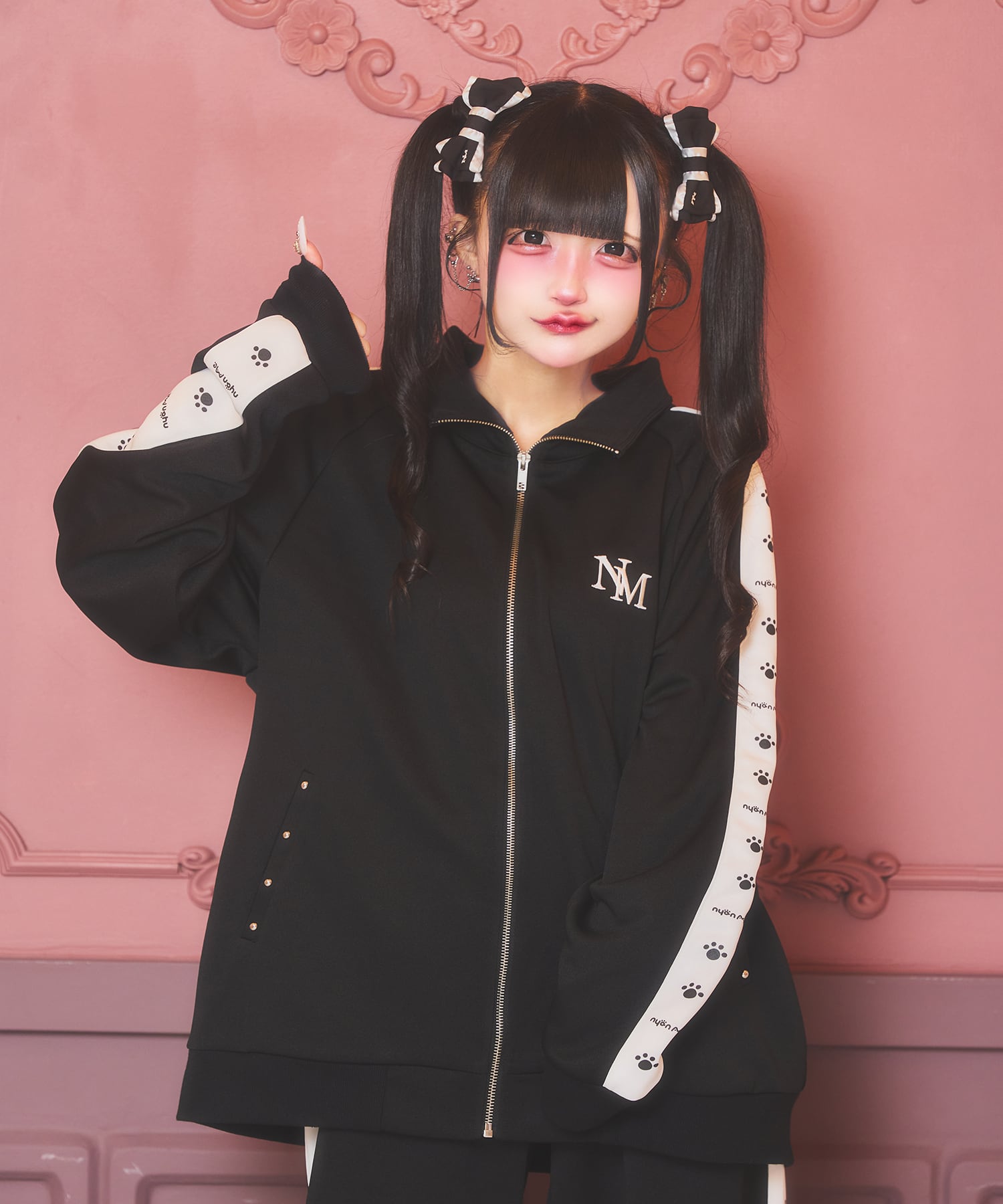 Setup セットアップ | nyan Me.