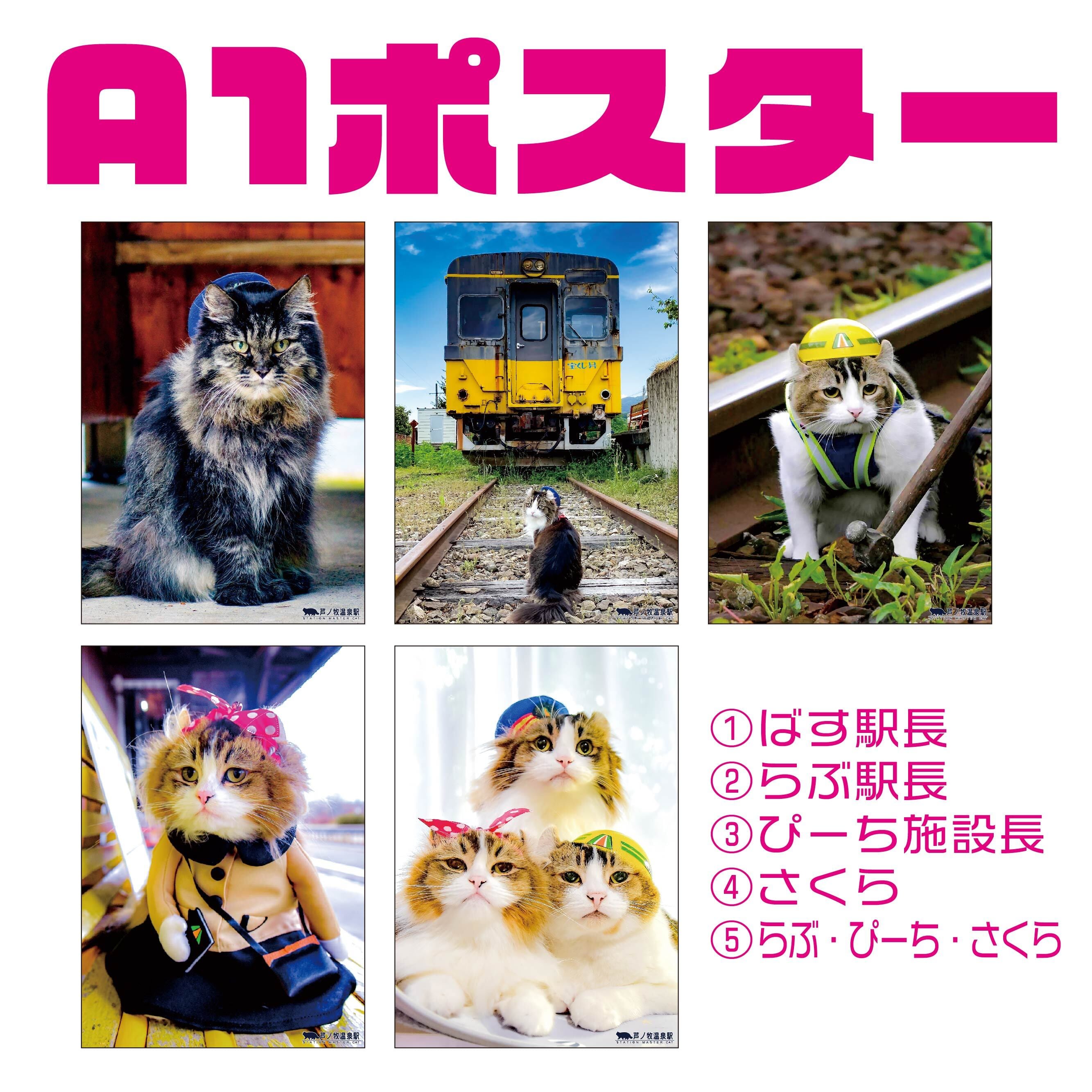 dfb27a5543d40e9fe4806d282f79ac