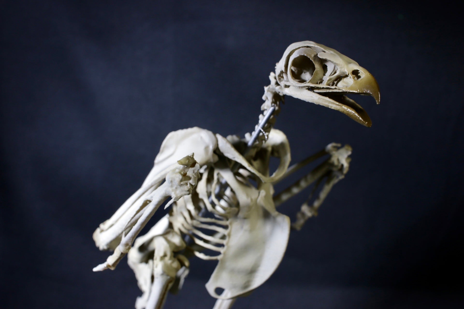 dfd4db661b73de898b36881e11dc07