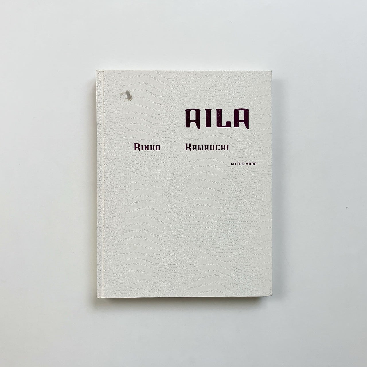 川内倫子 Rinko Kawauchi | AILA | 翠ブックス | suibooks | 古書古本