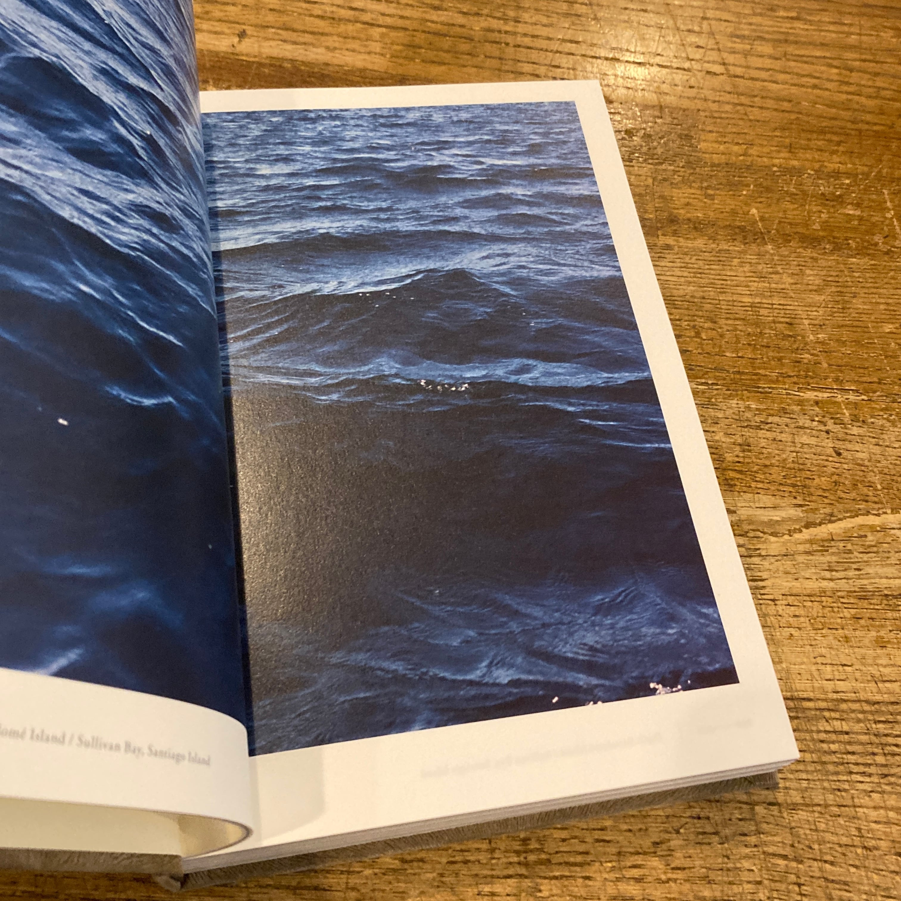 MUJI GALAPAGOS 無印良品 / 写真: 上田義彦 アートディレクション