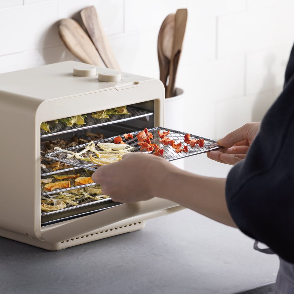 レコルト ドライフード＆ヨーグルトメーカー / クリームホワイト RFD-2