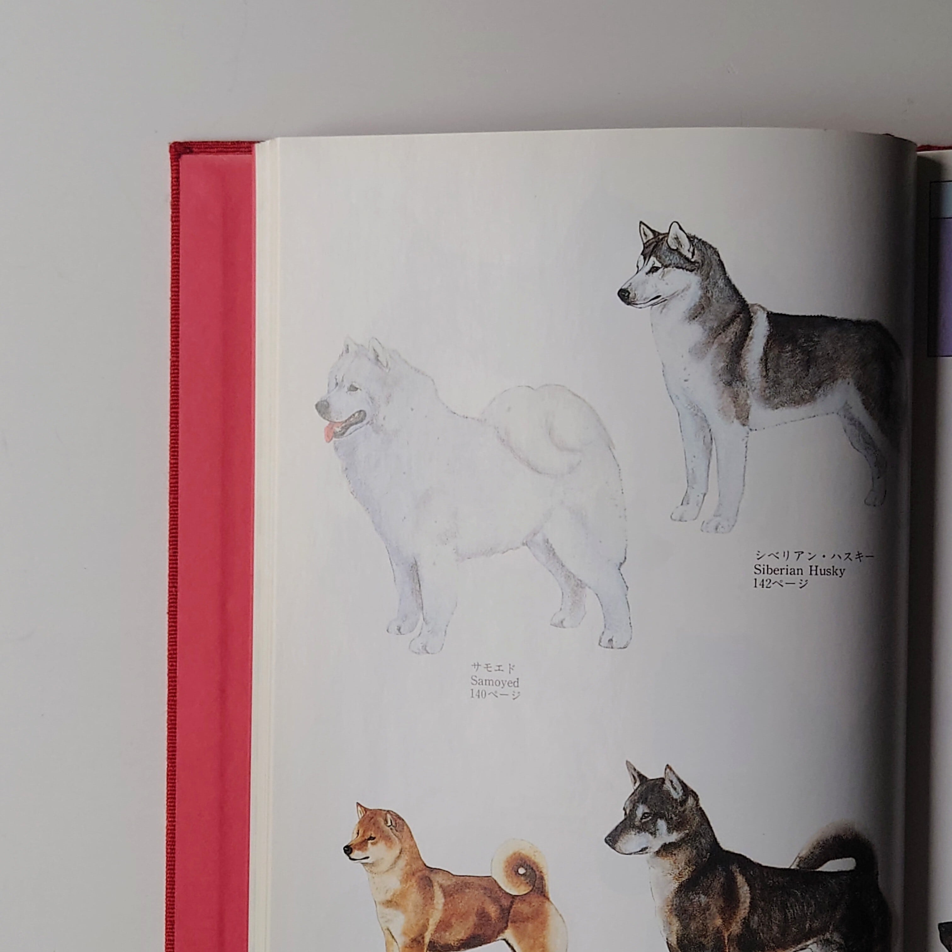 JKC 全犬種標準書第9版 | イヌグラシ