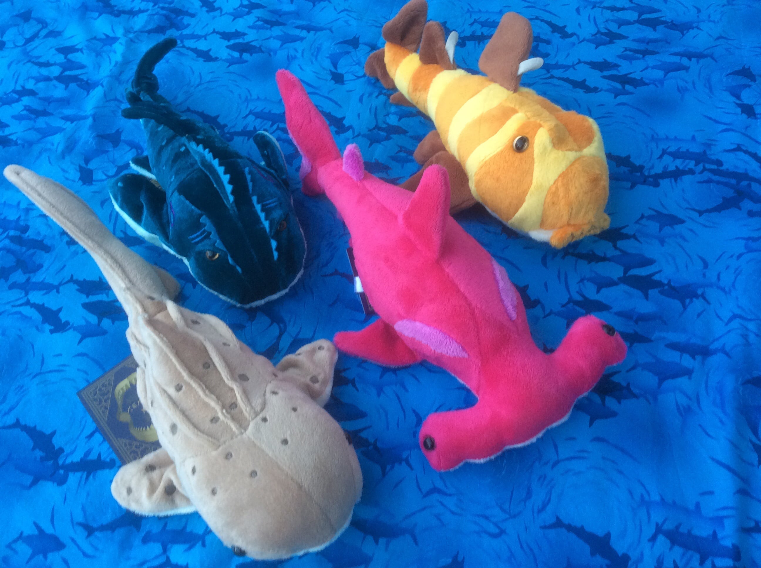 サメグッズ】サメコレクション・リアル系ぬいぐるみ各種 | 気仙沼