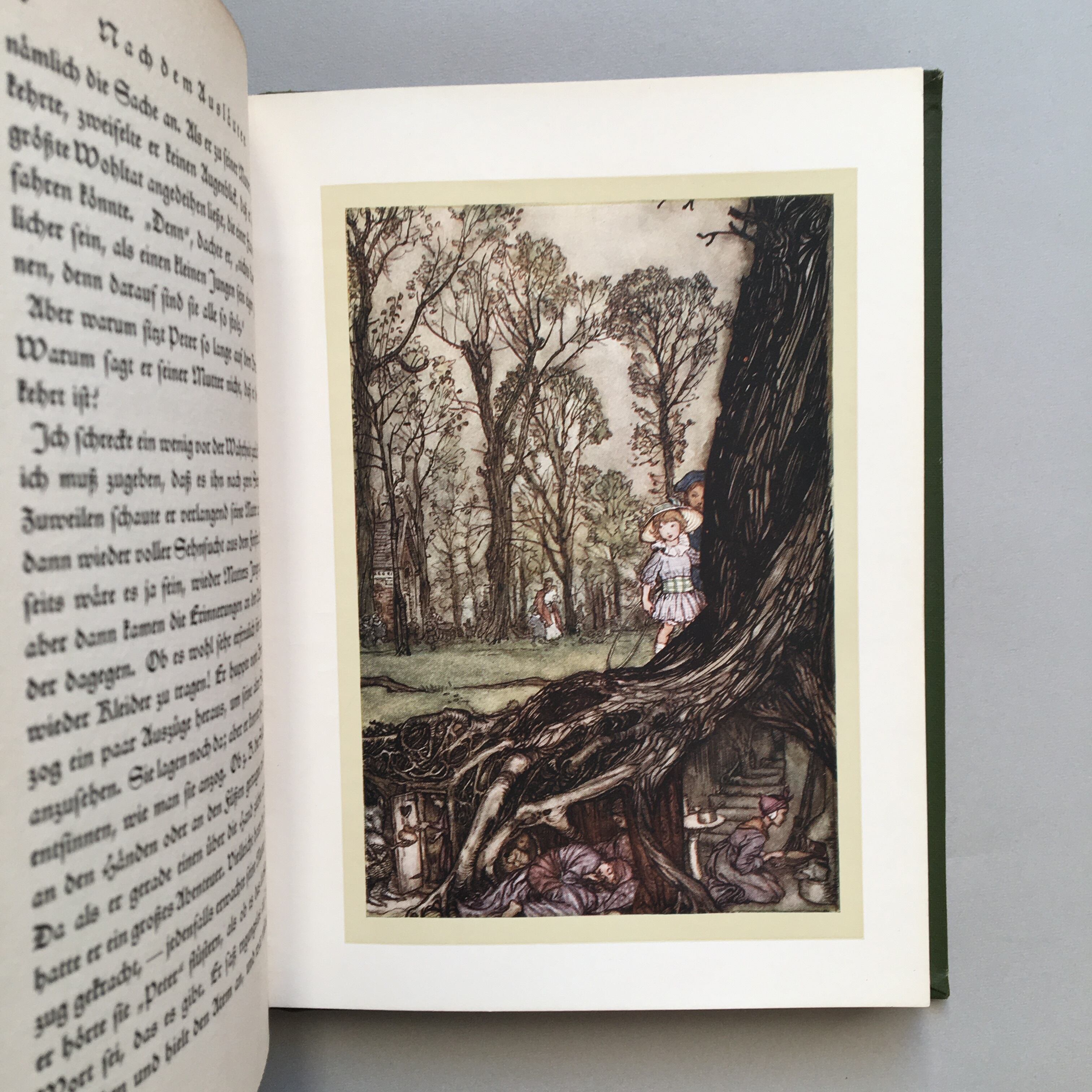 森林公園のピーター・パン（ドイツ語初版、ラッカム挿絵） | 髙橋麻帆書店