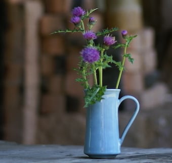 青磁貫入手付き小花瓶【梶原茂正作】 | 茂正工房(梶原茂正・梶原大敬)