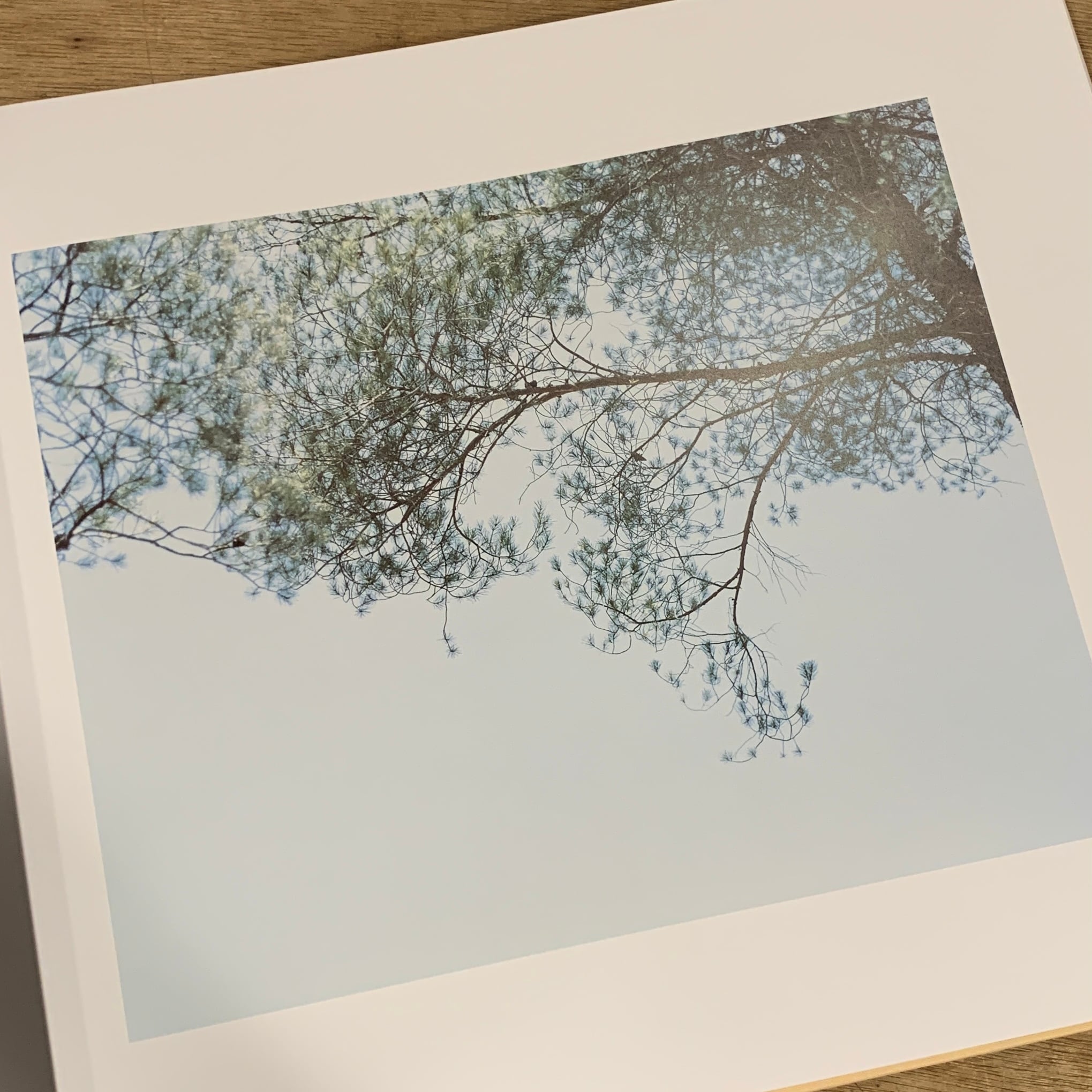 Mont Sainte Victoire Risaku Suzuki / 鈴木理策 | 百年