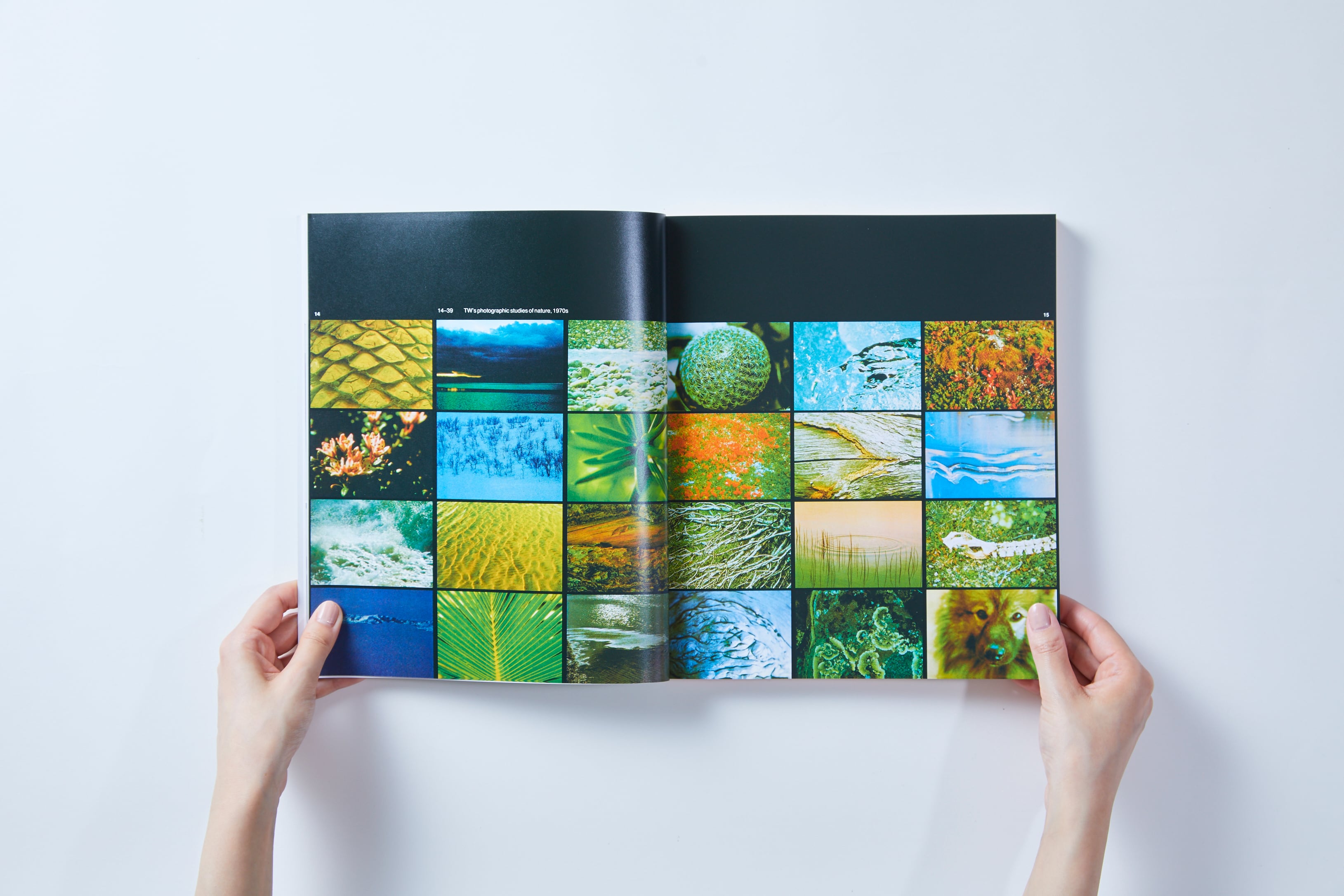 書籍『タピオ・ヴィルカラ』＊『TAPIO WIRKKALA』の復刻版 | ブルー