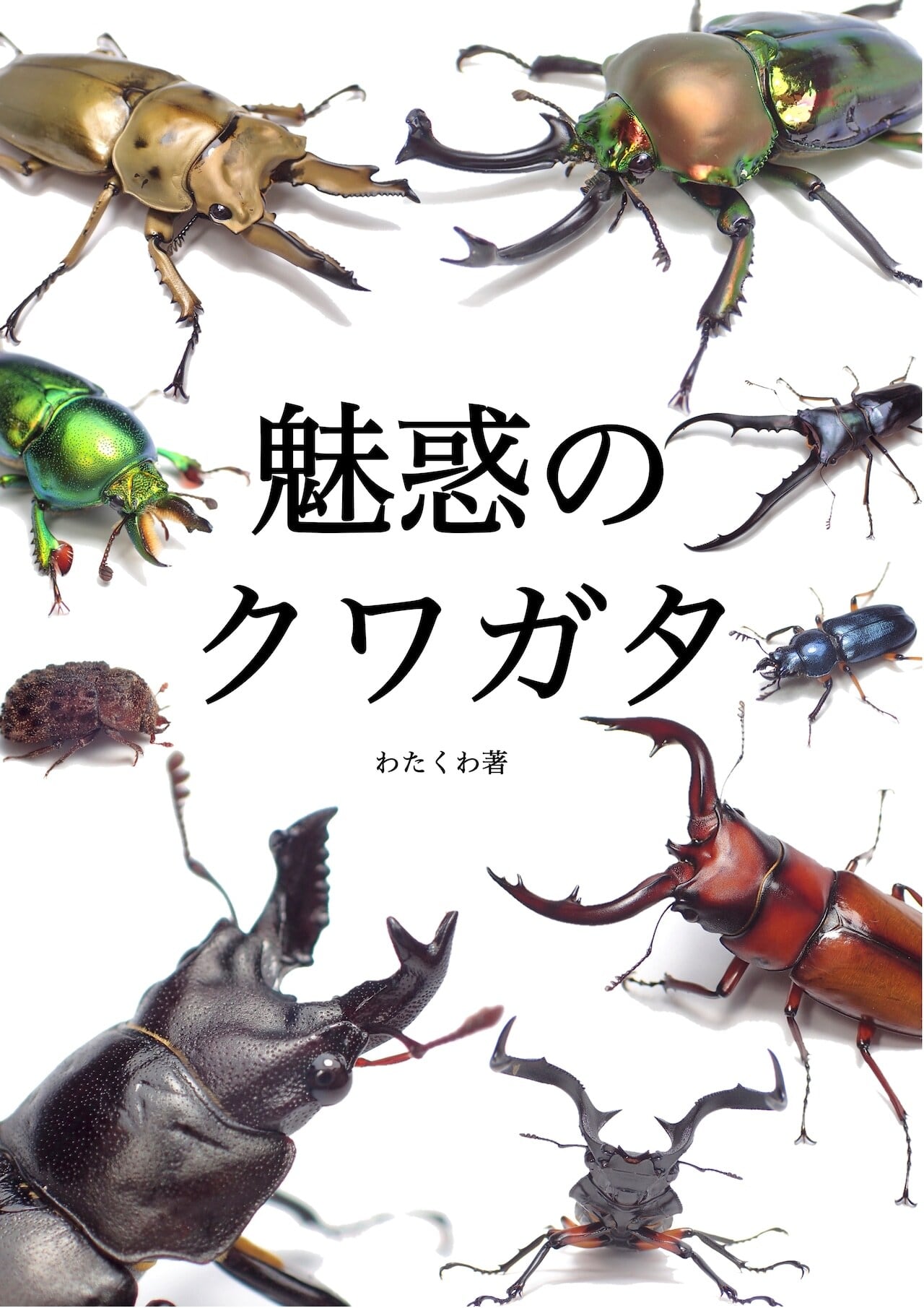 e7ff4e13576f0062b9b59768679d87