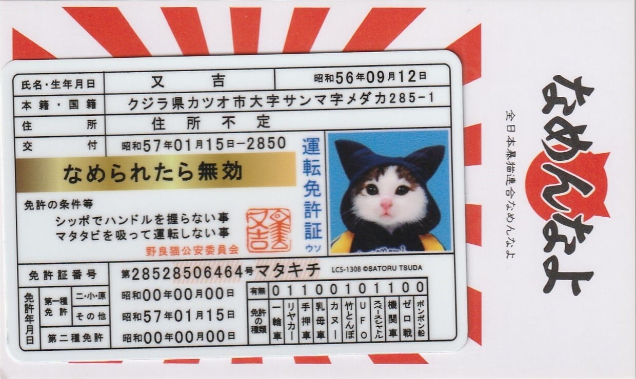 e40ec82b47f1f55d112c9290cd04db