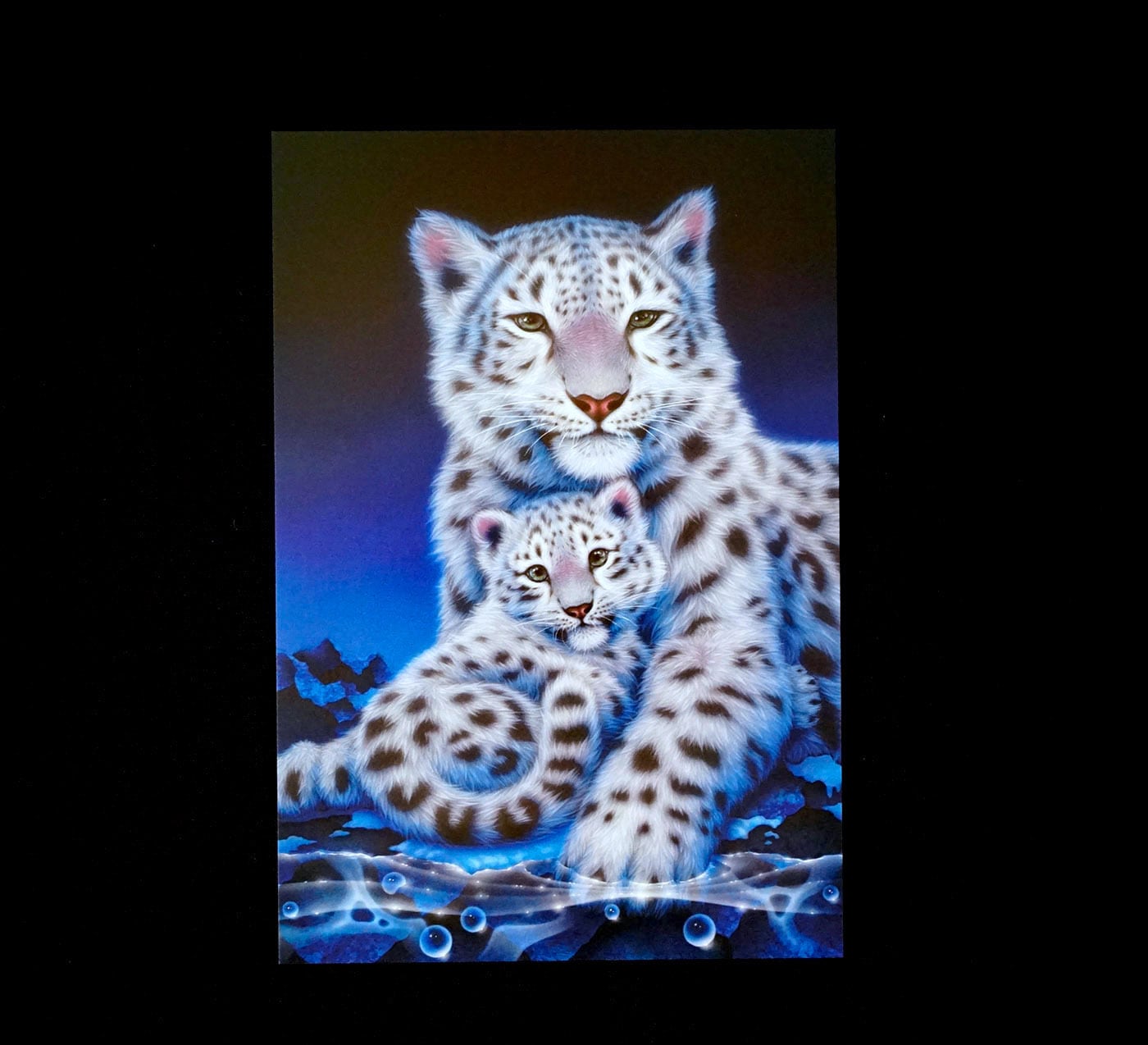 ポストカード「トラ、ユキヒョウ」 | 西野健太郎アートショップ