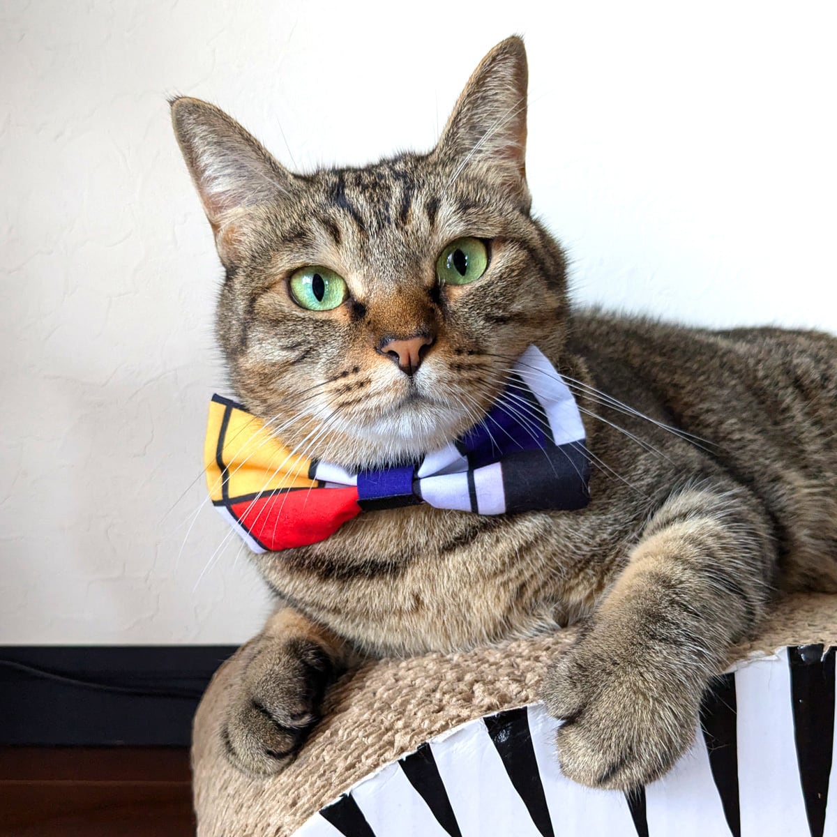 ペットと飼い主おそろい【蝶ネクタイ】犬・猫 モンドリアン クリムト